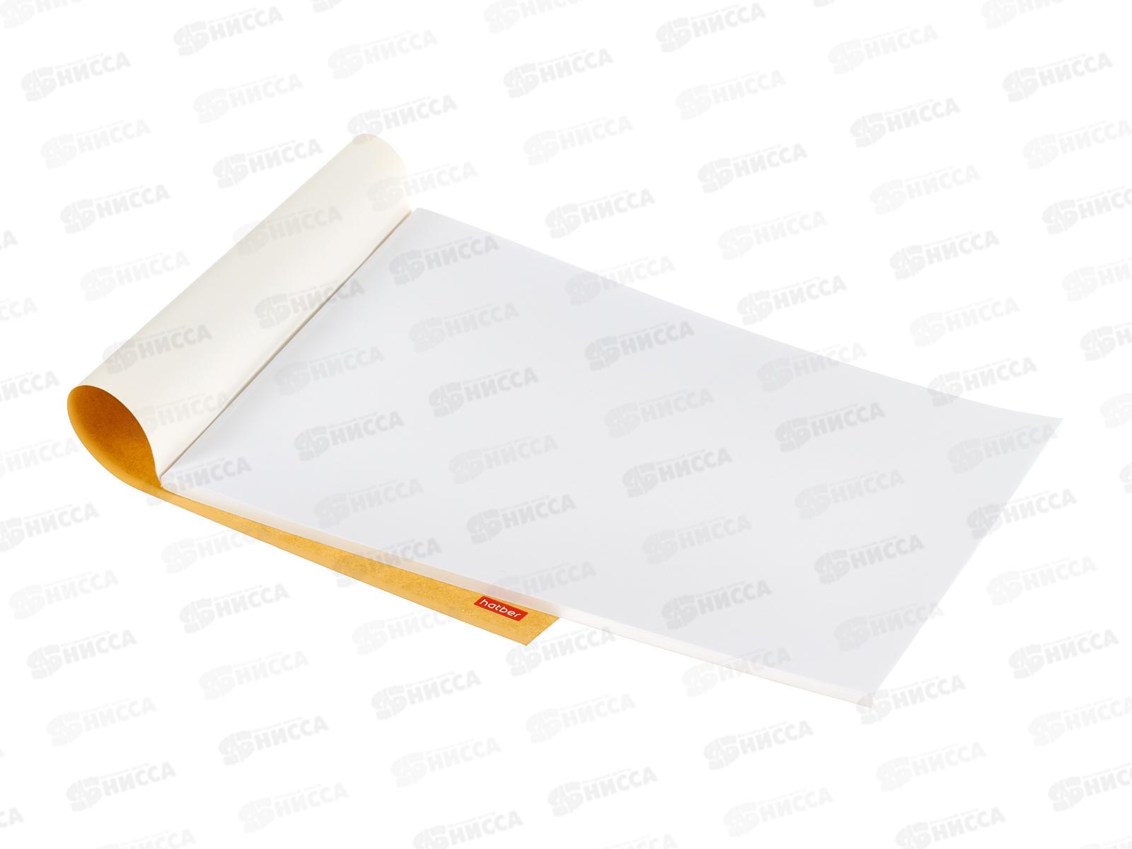 Альбом для рисования 48 листов  Hatber Мой друг кактус *6/30