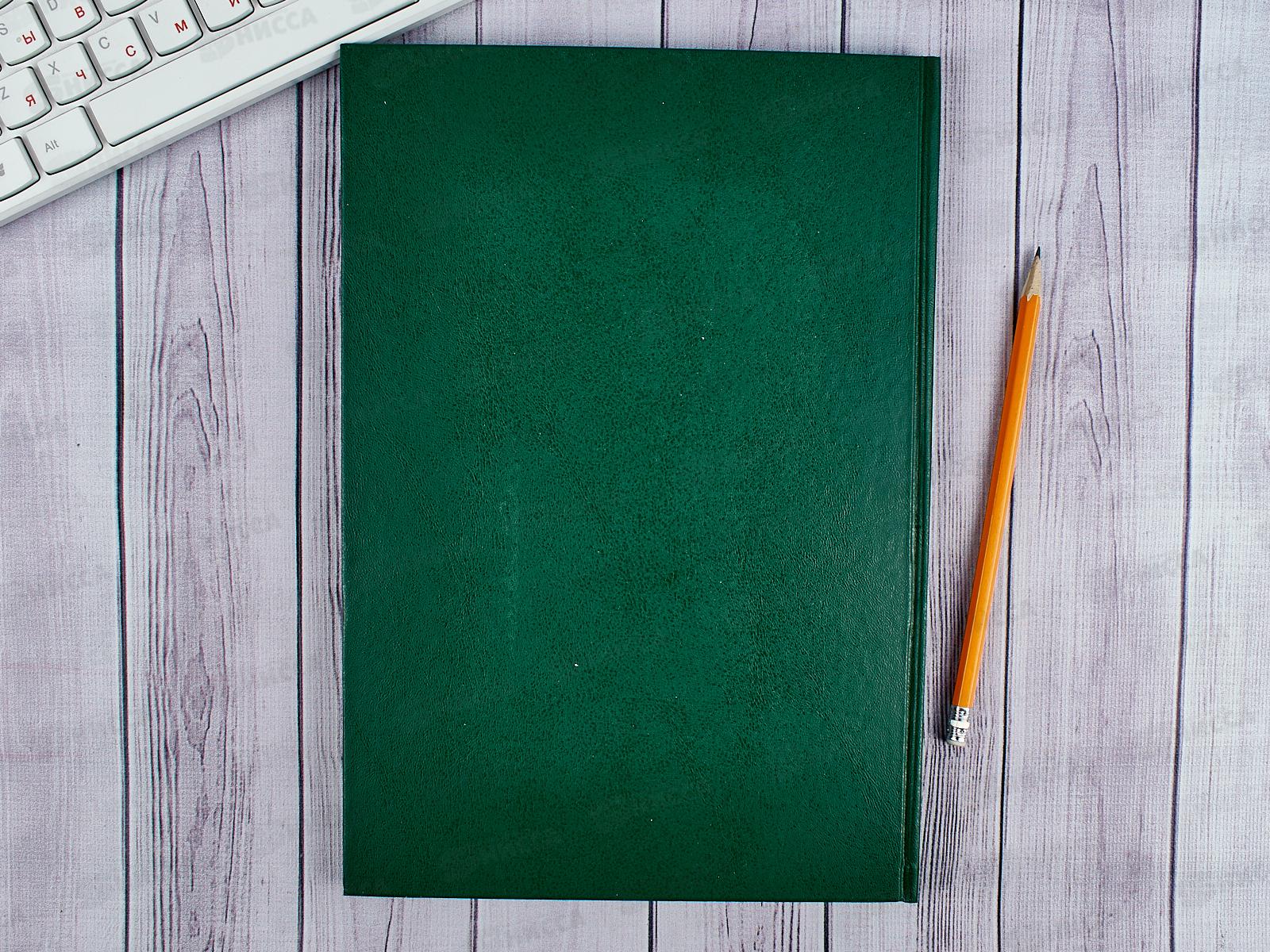 Книга учета BRAU 96листов клетка А4 зеленая, бумвинил, 130222 *10