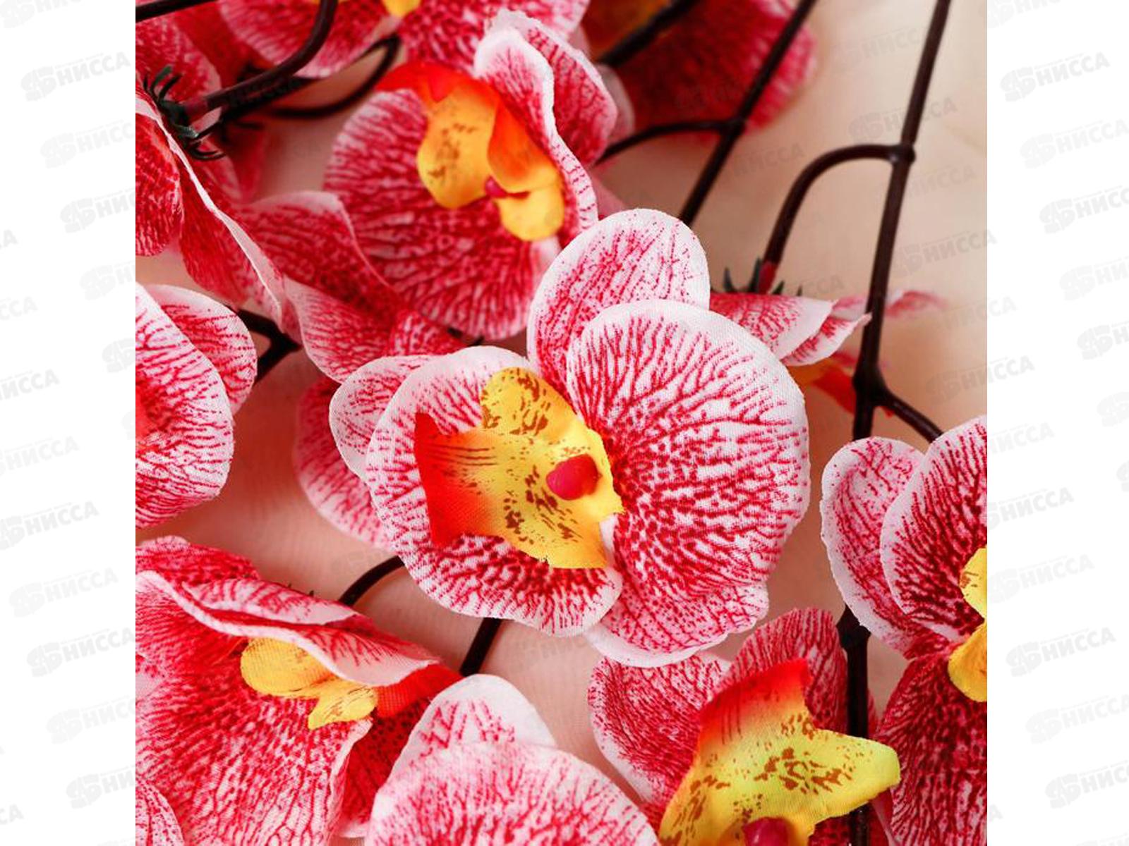 Цветы искусственные 80см Орхидея фаленопсис розовый 4301701