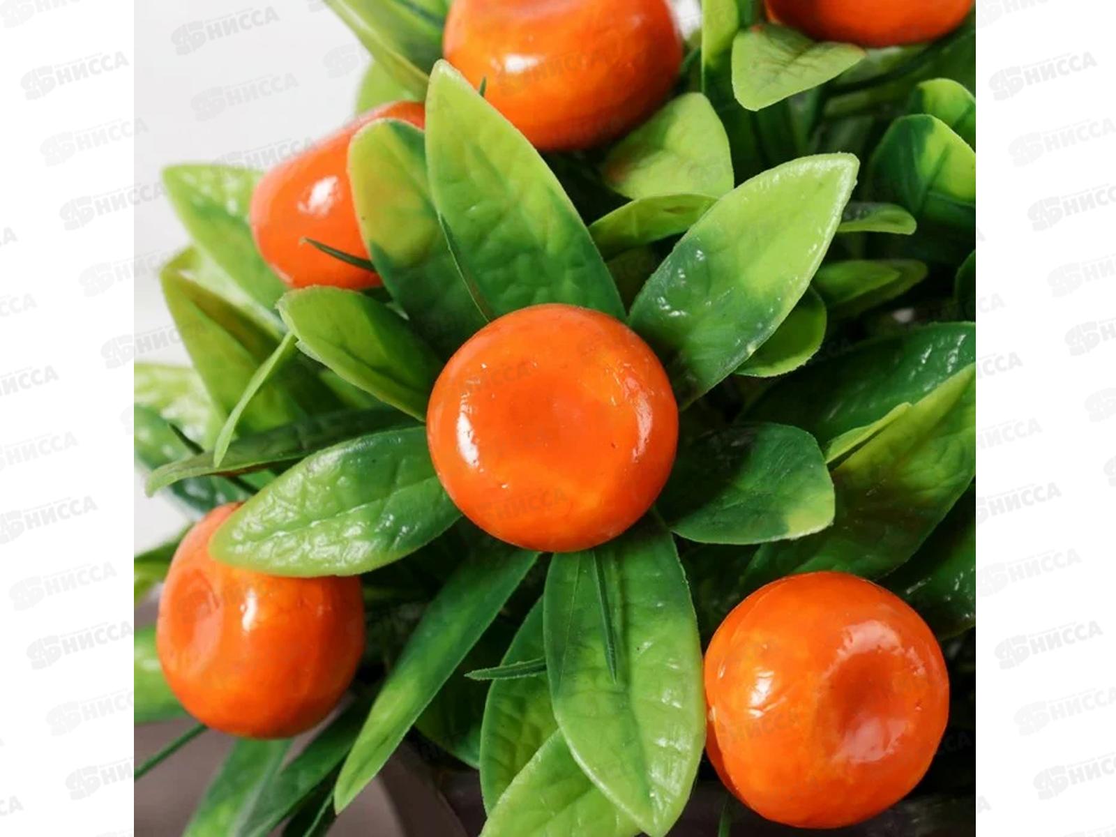 Бонсай в горшке &quotМандариновый куст&quot 13*18см 4555659