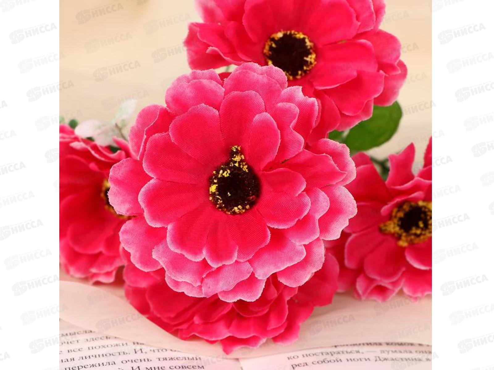 Букет 28см Каланхоэ микс 5378600 *2