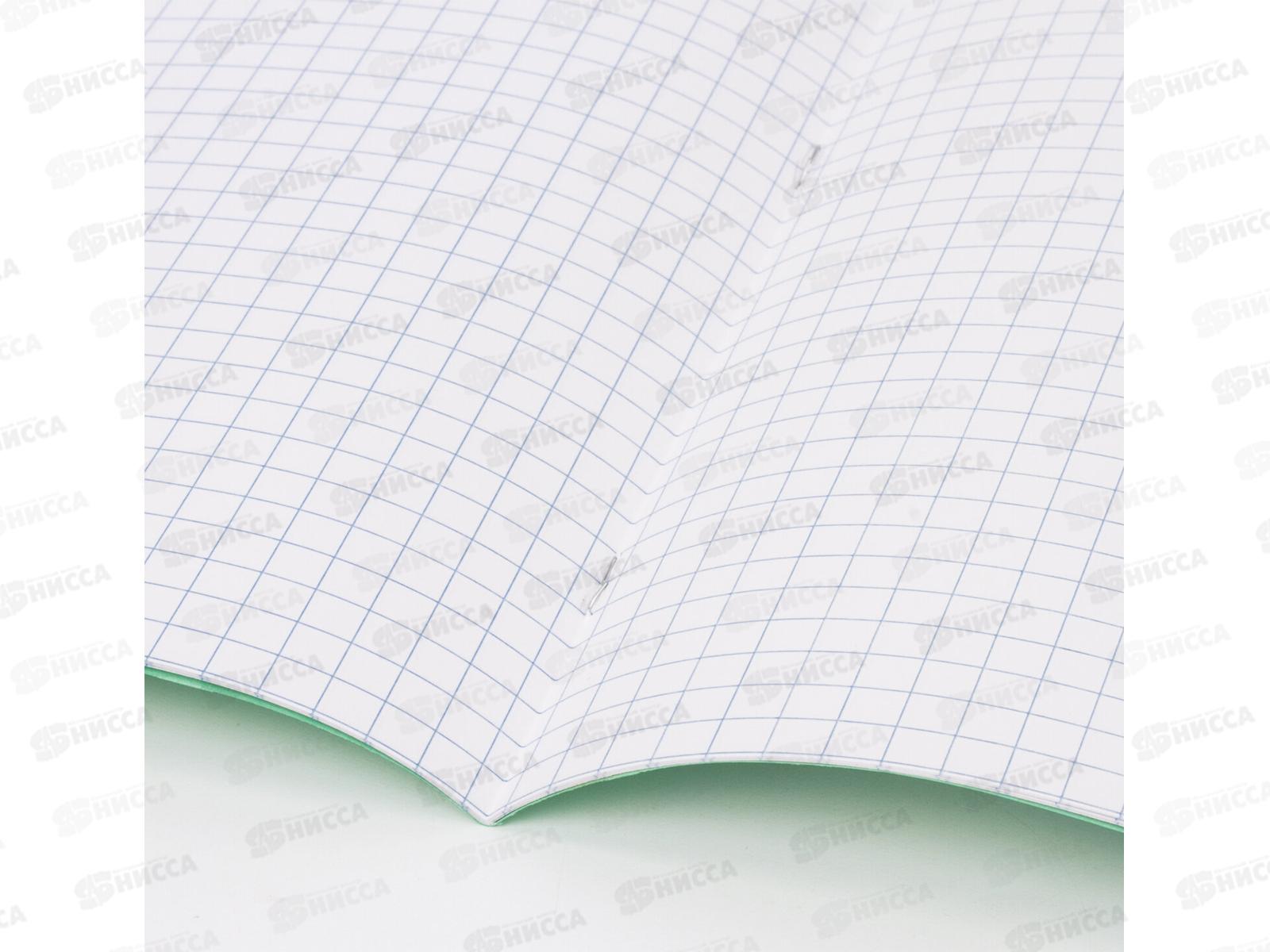 Тетрадь 12 листов крупная клетка МАЯК Т5012 Т2 зелёная  6Г*50/200