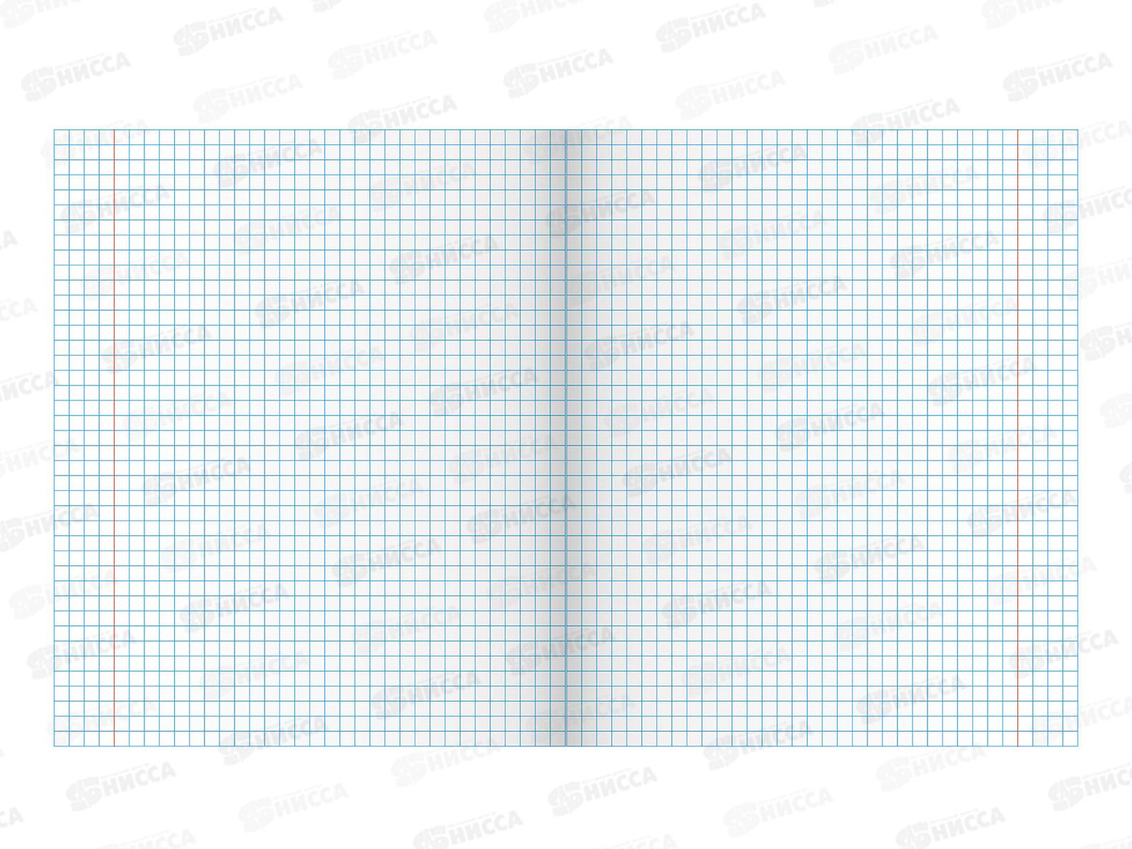 Тетрадь 24 листа  клетка  МАЯК Т5024 Т2 зелёная  5Г *40/160