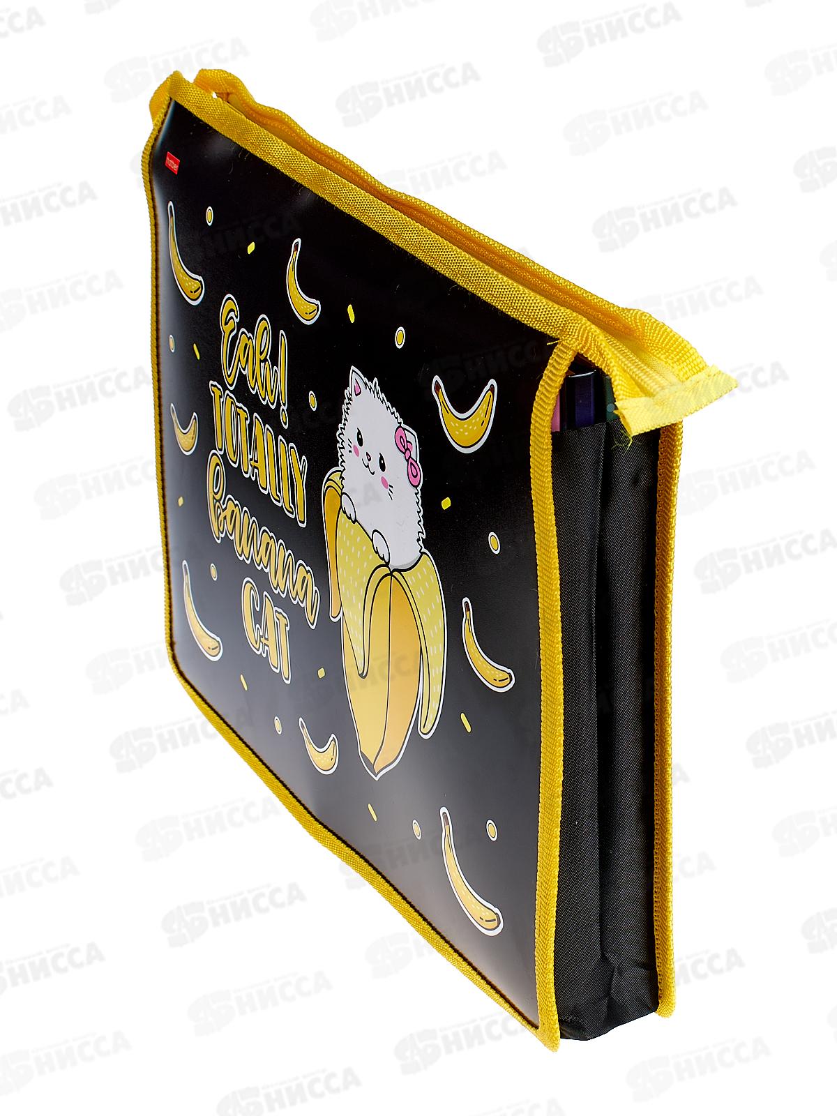 Папка для тетрадей Hatber А4 Banana-cat 22030