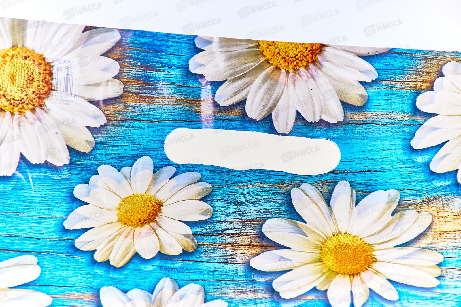 Пакет пробивной 30*40 Полли *50/1000