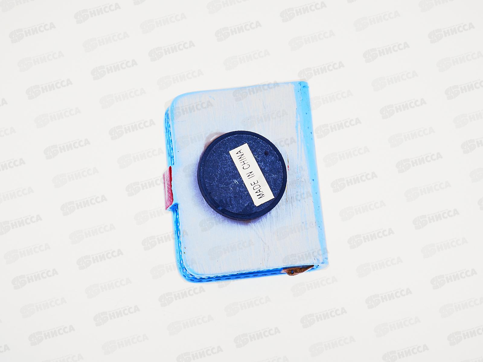 Магнит Личный дневник ассорти (014616) (С-176)  Ж