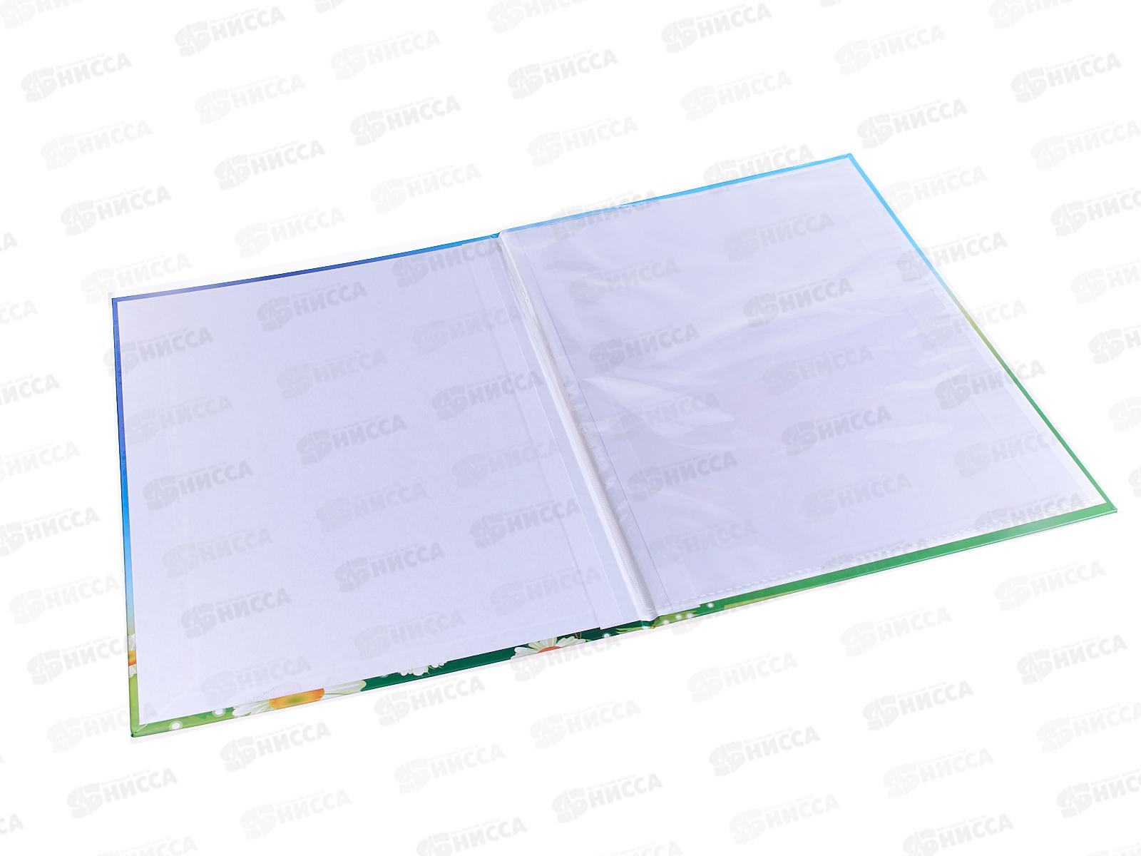 Папка  ЛиС А4 Выпускнику А4 ламинат П4Л-03543