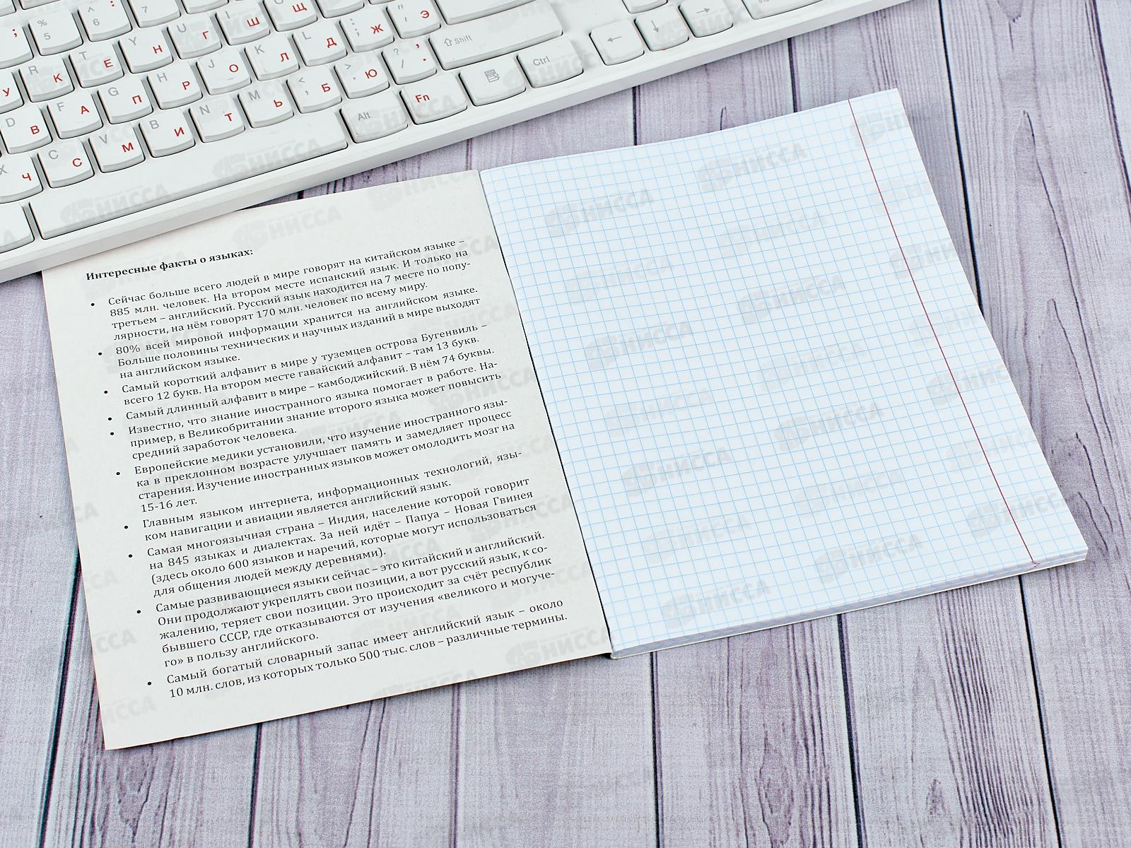 Тетрадь 48 листов клетка ПП. Иностранный язык &quotДерзкая&quot, 48-9782 *10/80