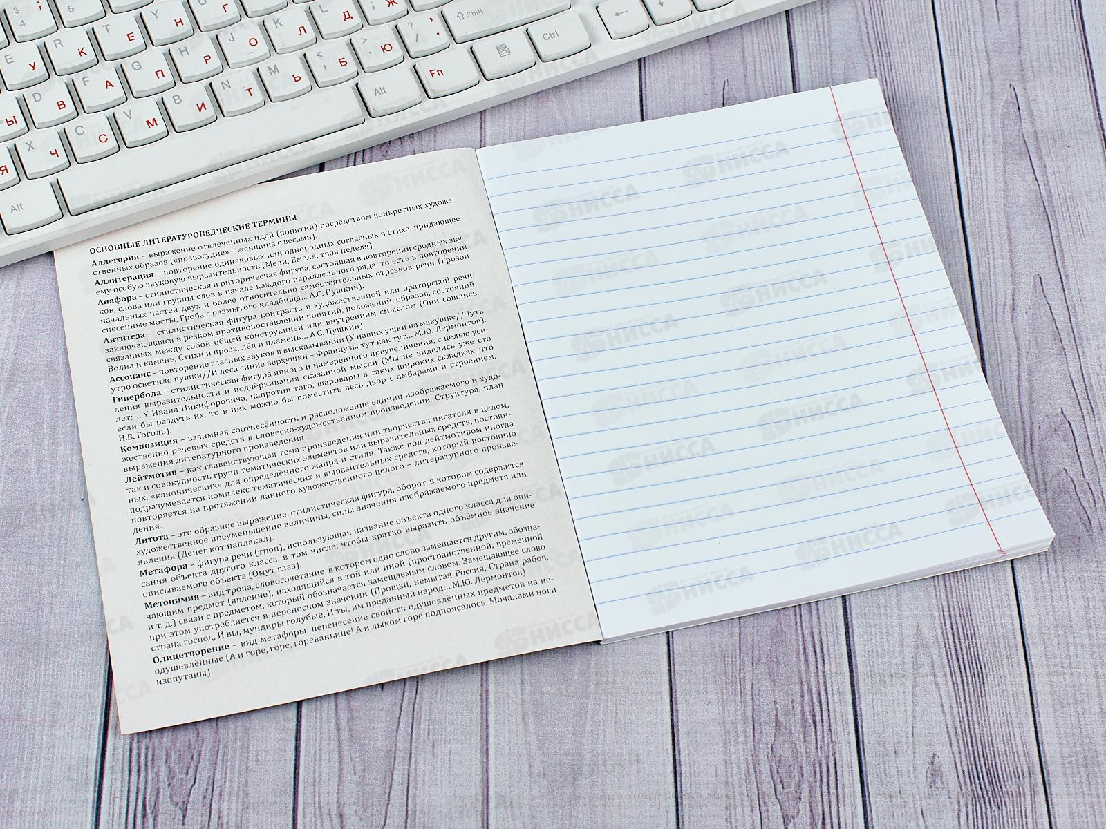 Тетрадь 48 листов линия ПП. Литература &quotДерзкая&quot, 48-9785 *10/80