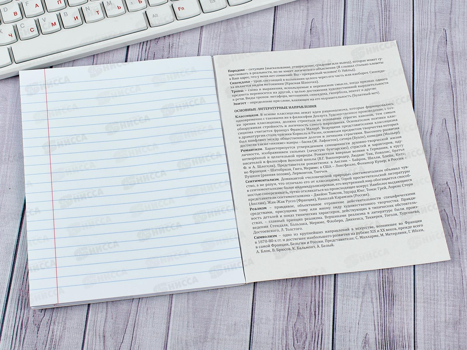 Тетрадь 48 листов линия ПП. Литература &quotДерзкая&quot, 48-9785 *10/80