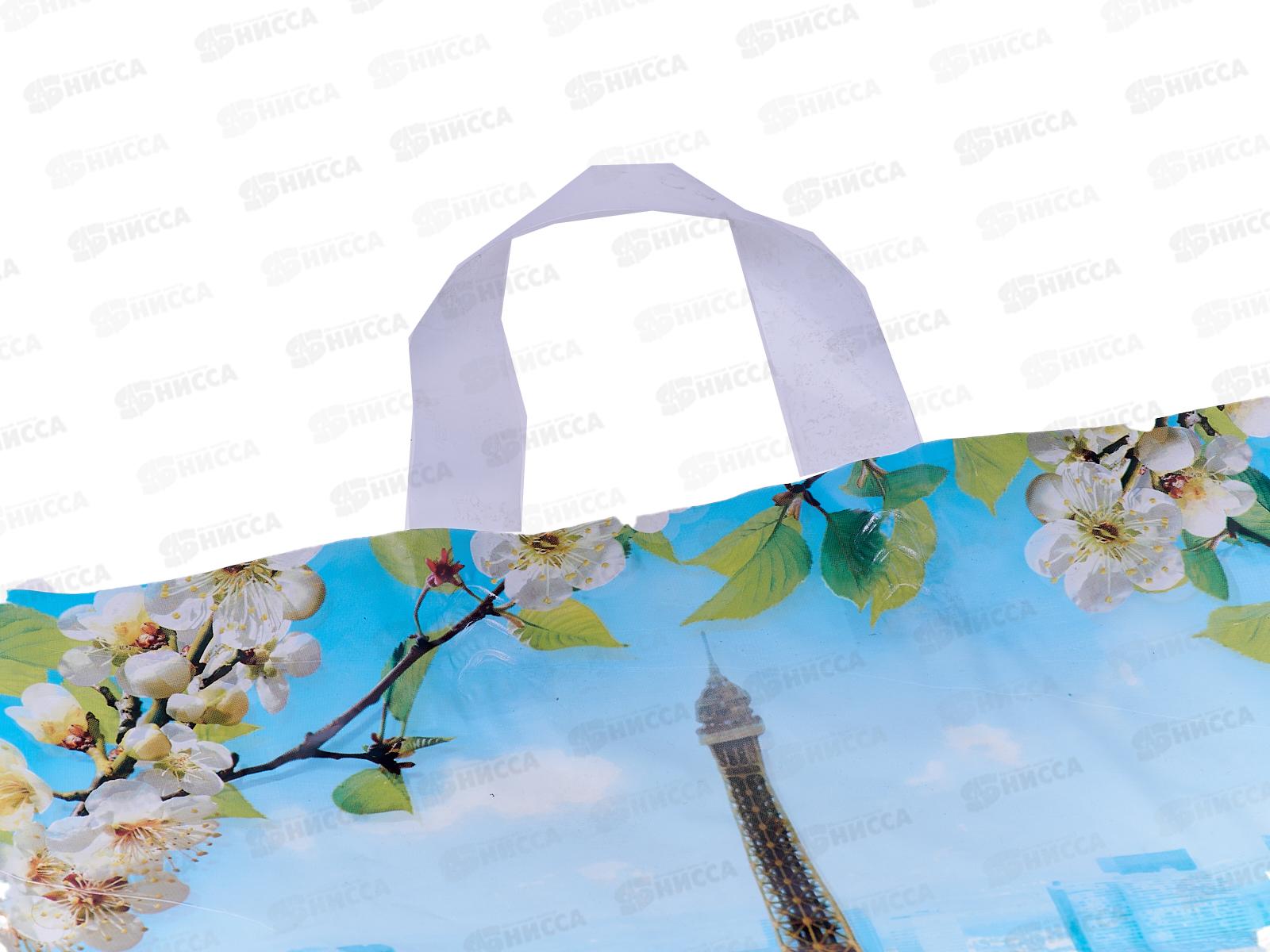 Пакет сумка Полиэтилен Низкого Давления 38*42 Цветущий город *25/500