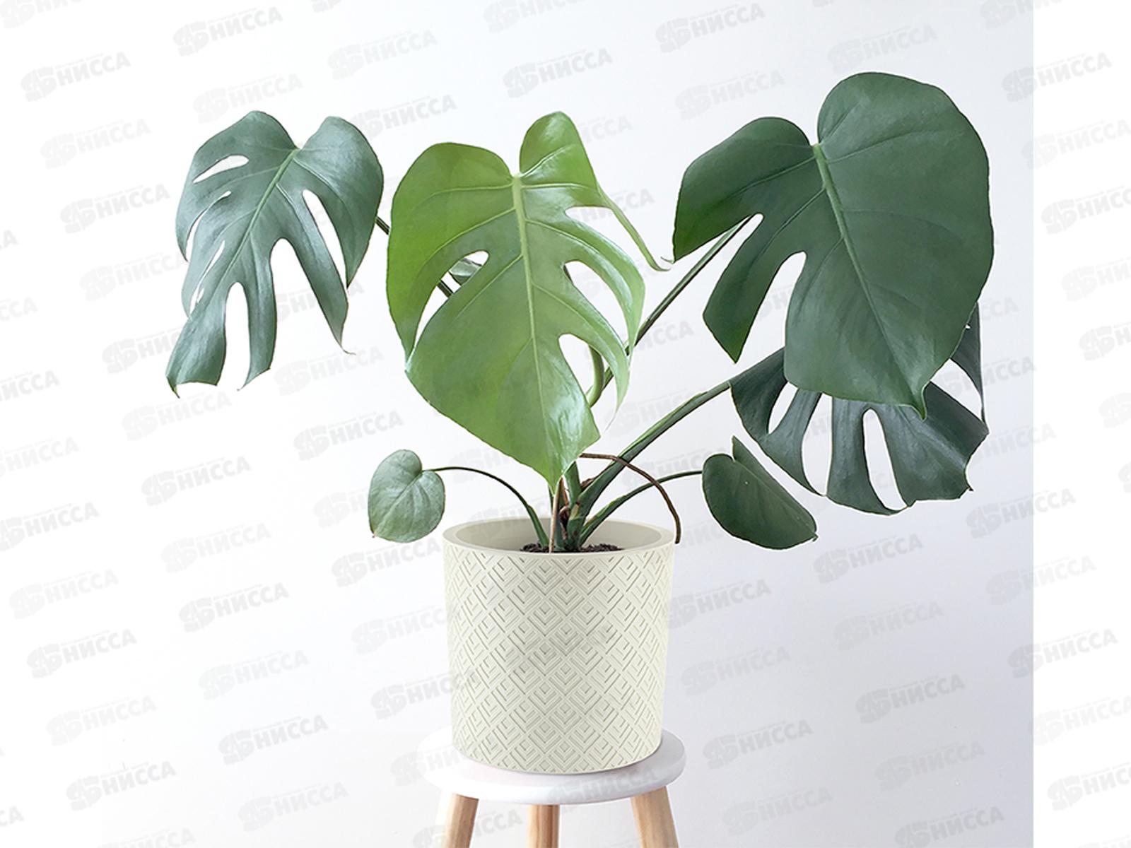 Кашпо ЭТНА D280мм 9,5л Белый ротанг М3184 *6