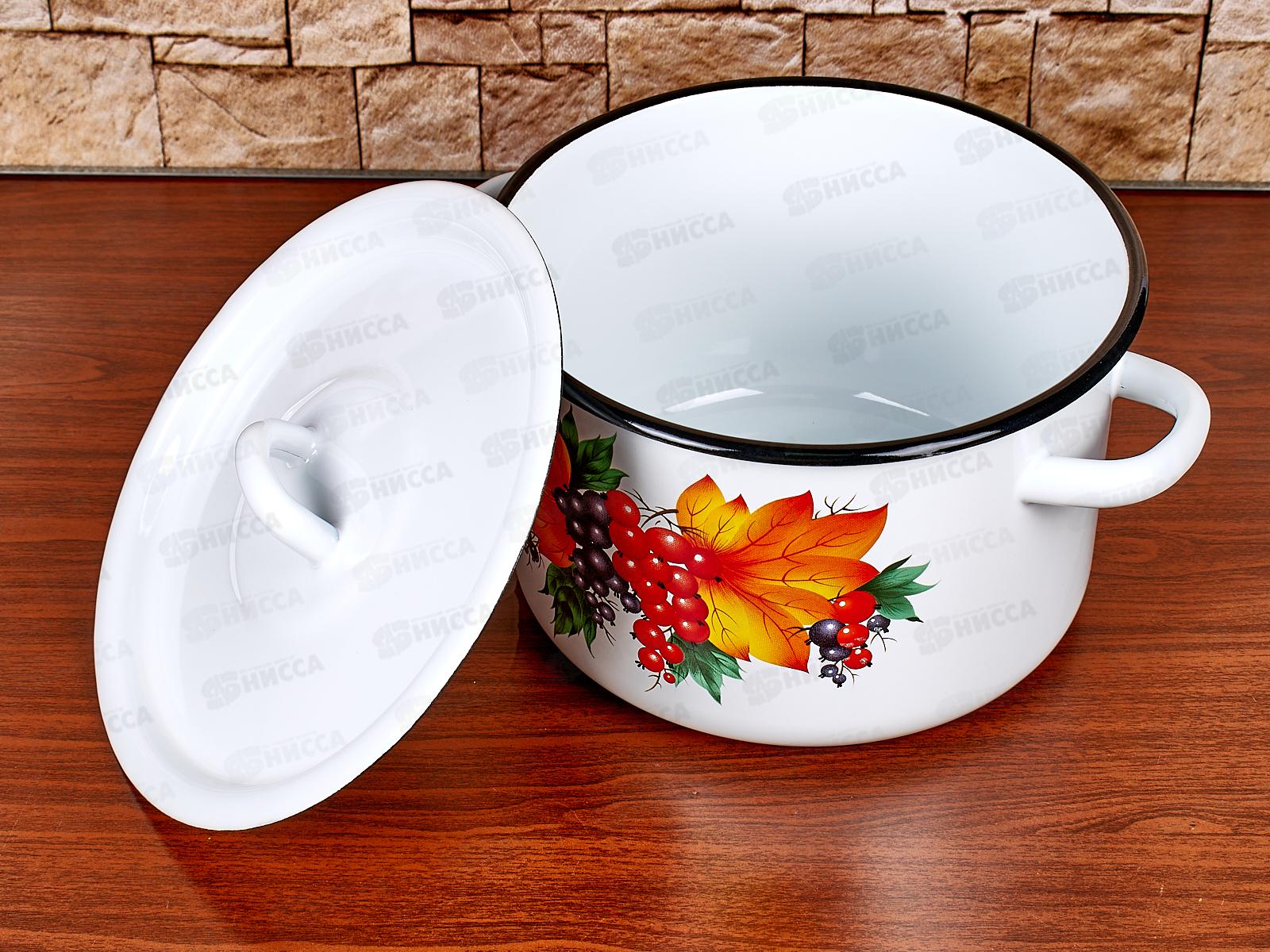 Кастрюля 3,0л эмалированная 01-1612/4 Смородина *4