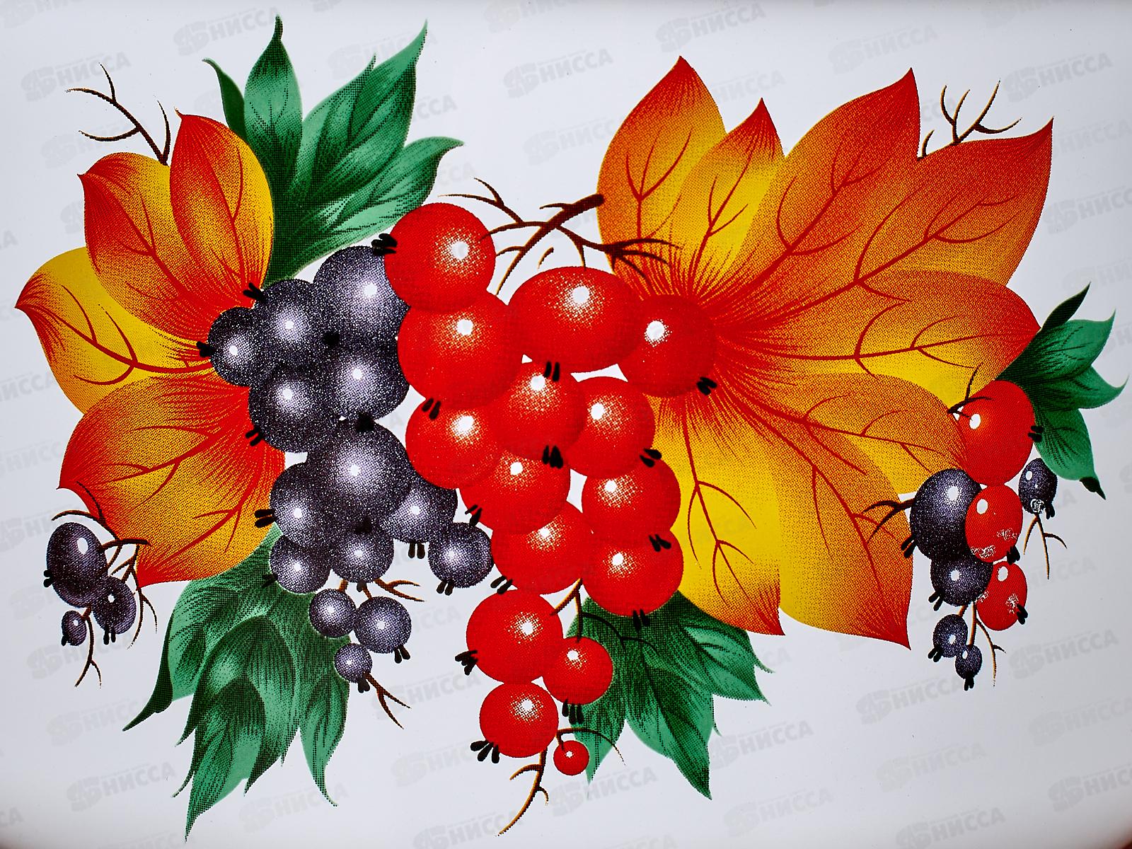 Кастрюля 3,0л эмалированная 01-1612/4 Смородина *4