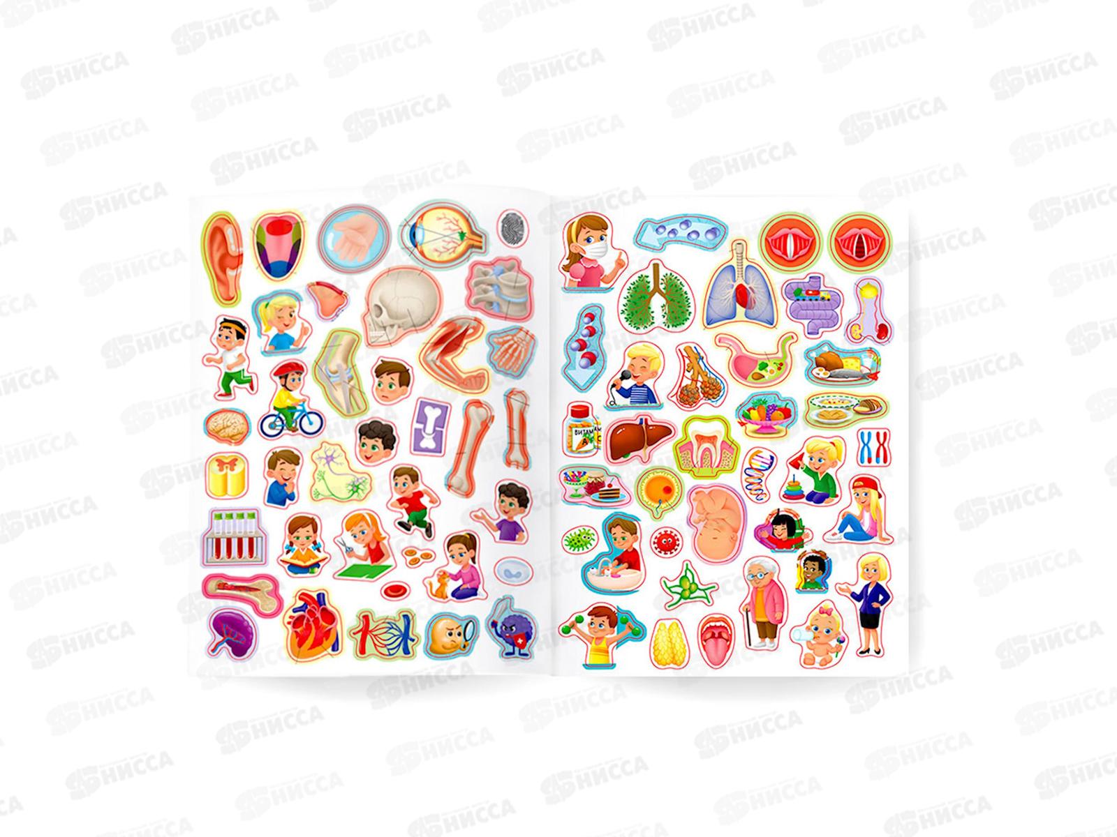 Атлас с наклейками. Тело человека. 16стр., 21х29,7см, 93959