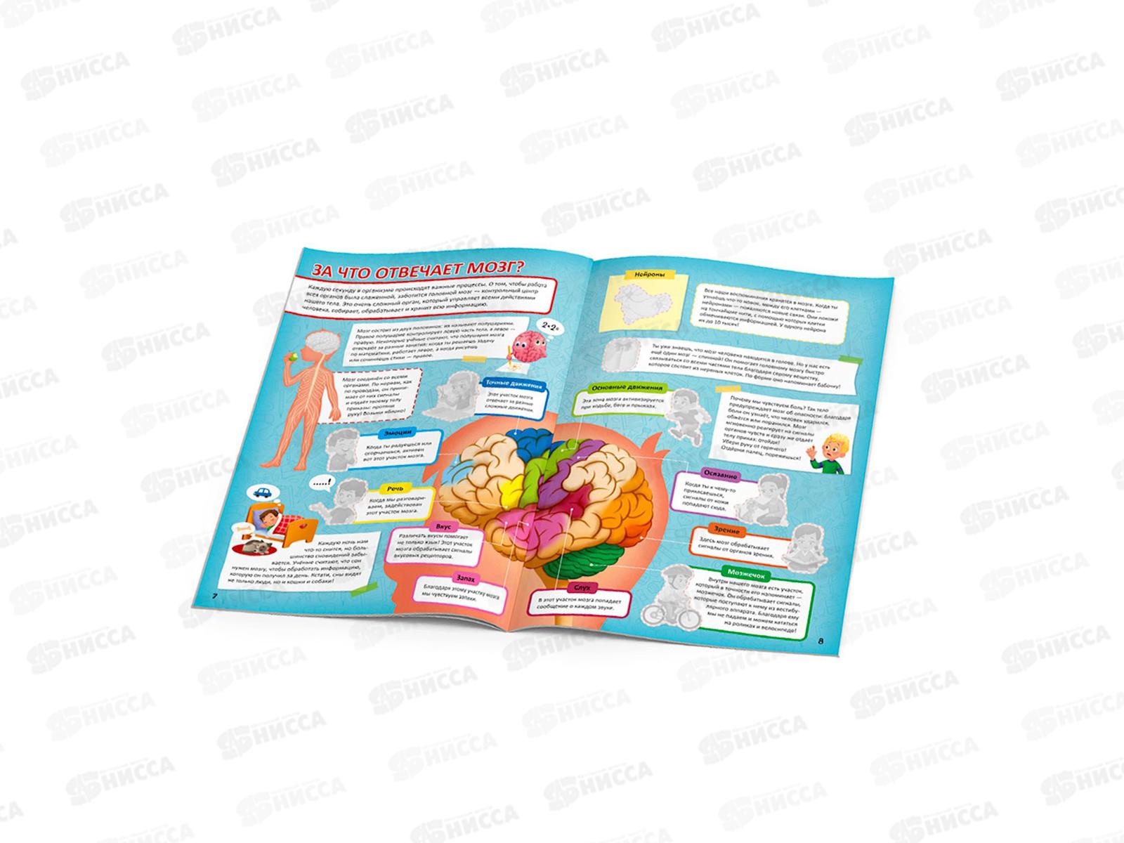 Атлас с наклейками. Тело человека. 16стр., 21х29,7см, 93959