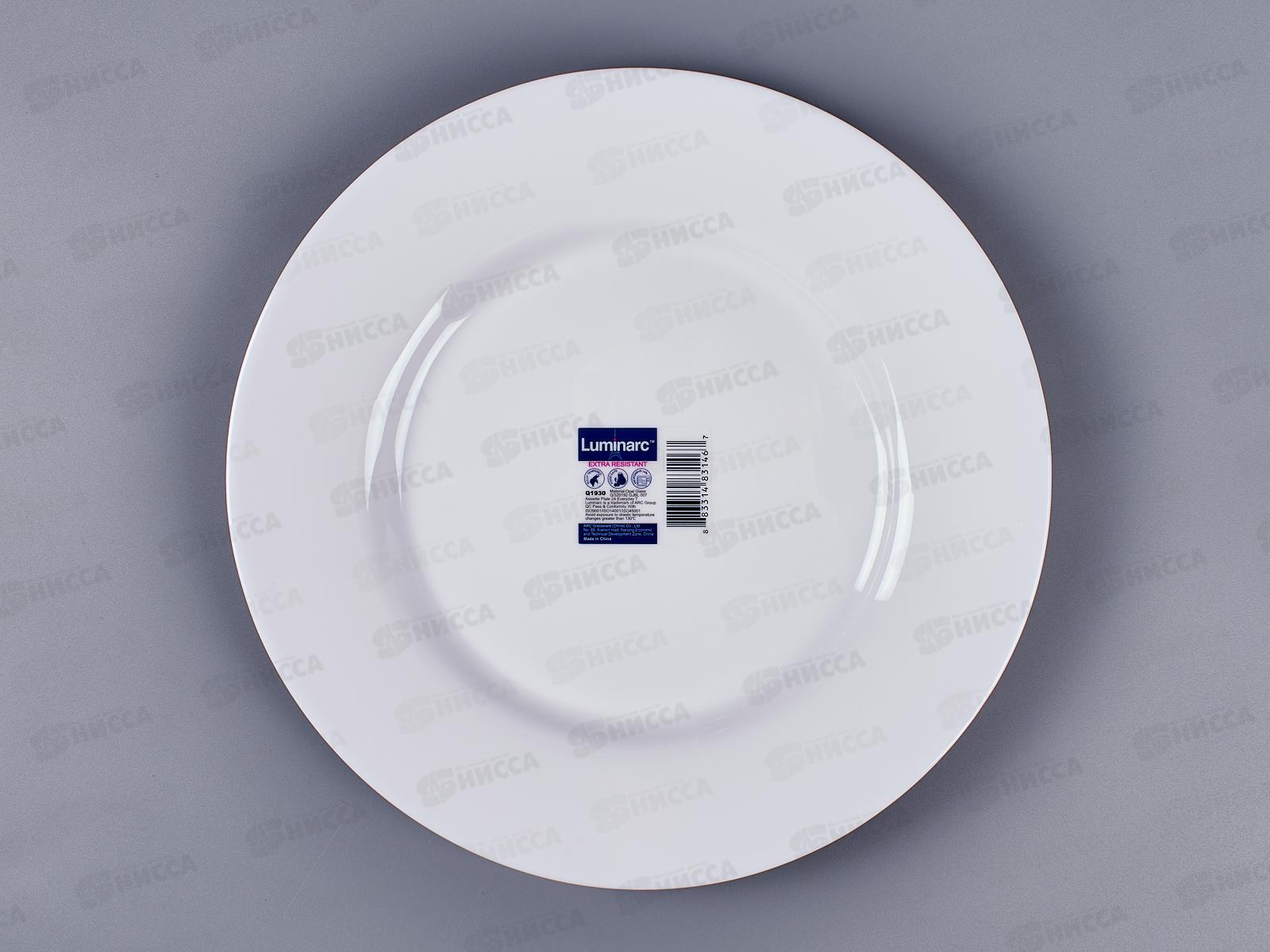 Тарелка обеденная Эвридэй 24см Q1930