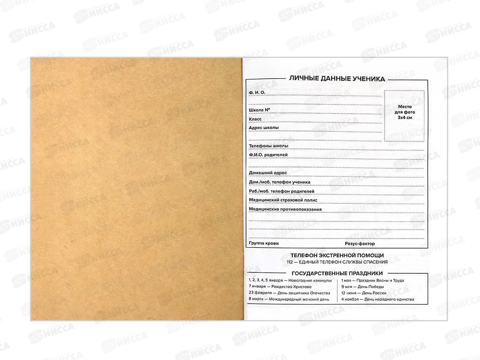 Дневник ФЕН Летнее настроение, 60250*18/36