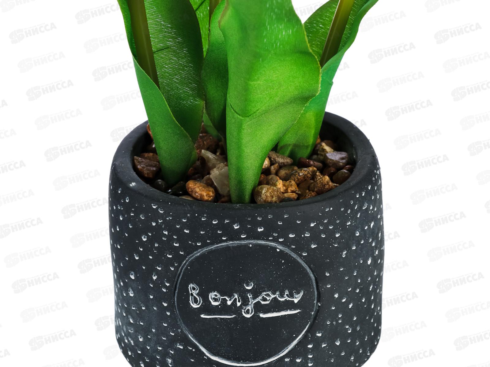 Композиция в горшке Тюльпаны 10*25см 501-521 г