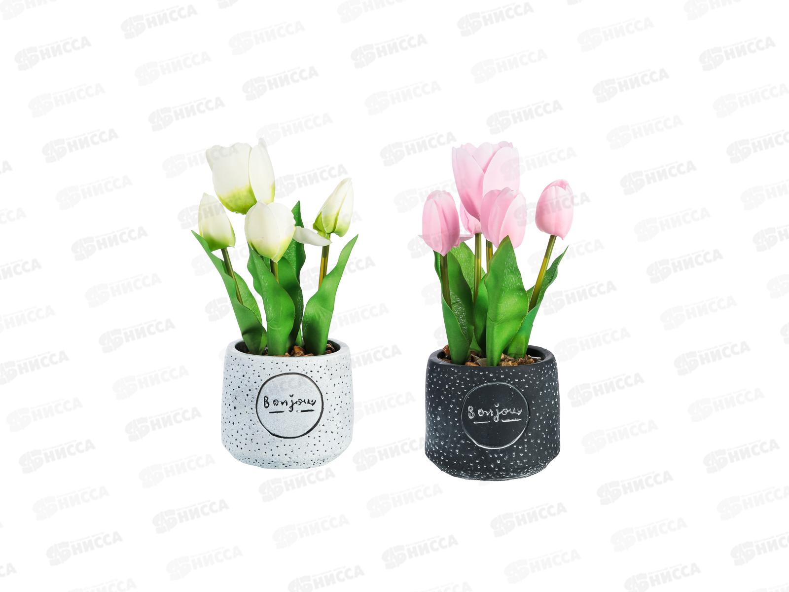 Композиция в горшке Тюльпаны 10*25см 501-521 г