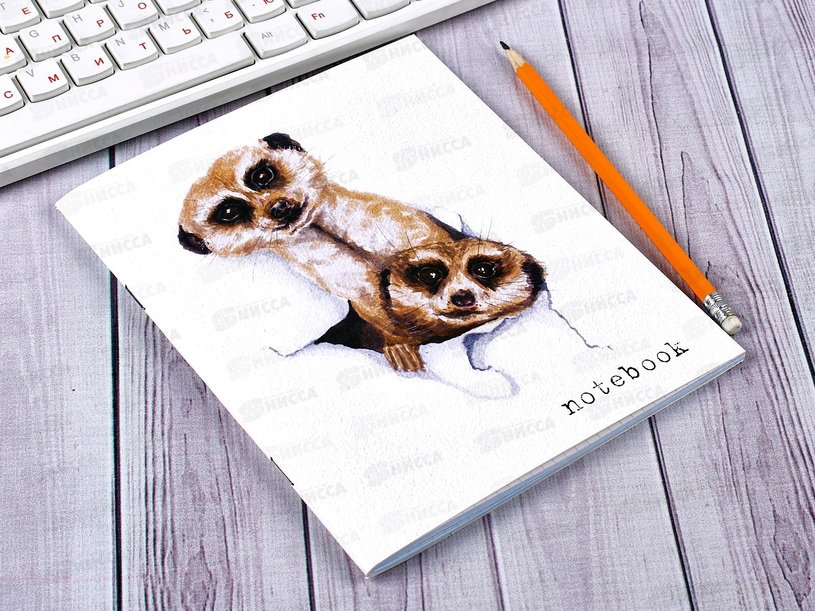 Тетрадь 48 листов клетка. ПЛН Hi there, 3206 *40