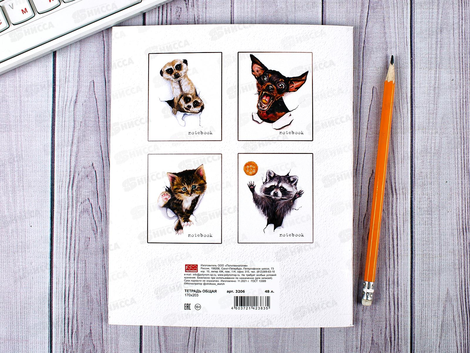 Тетрадь 48 листов клетка. ПЛН Hi there, 3206 *40