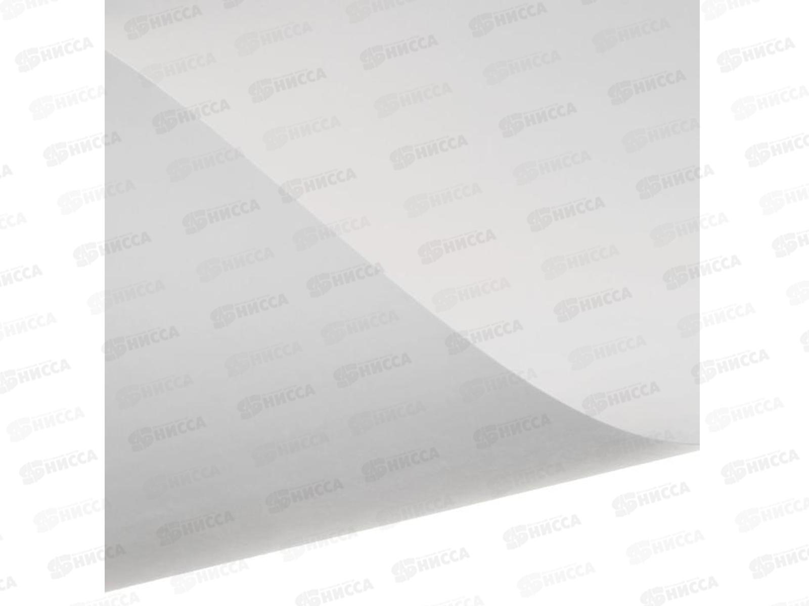 Ватман А4 Ленгознак, P200 100л *1