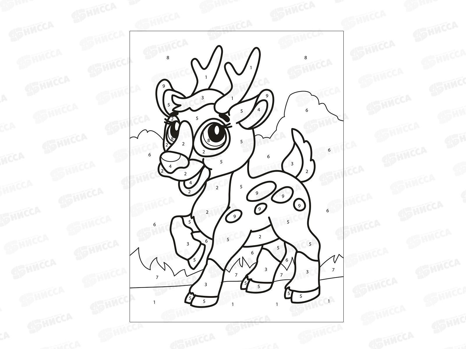 Раскраска по цифрам ЛиС А4 В мире животных, РКСЦ-007 *50