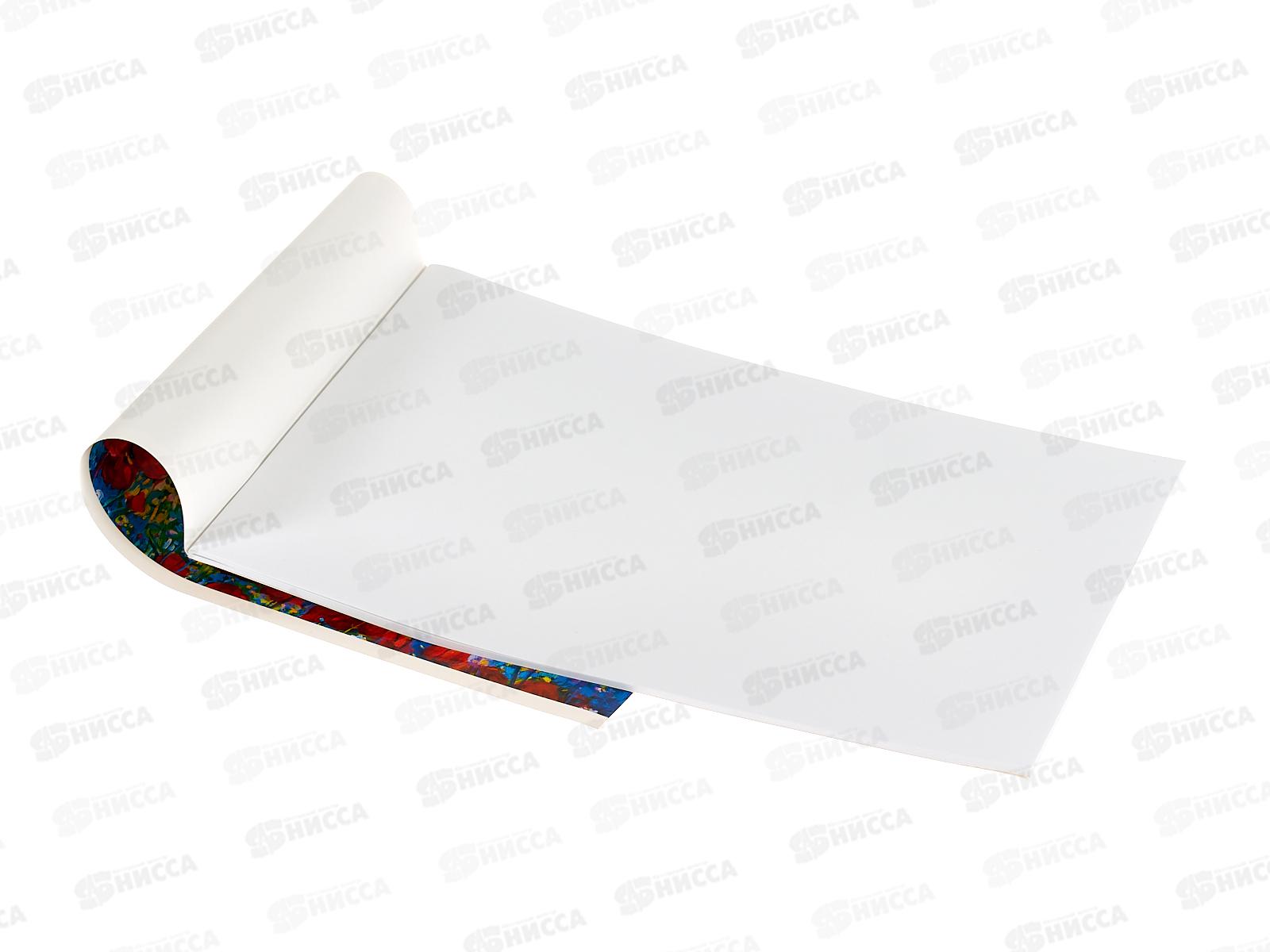 Альбом для рисования 20 листов  ПЗБМ Цветочное поле,049648 *5/50