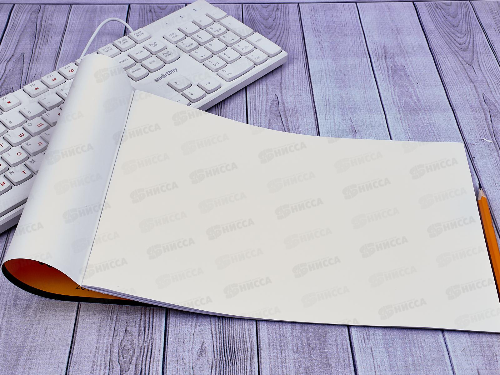 Альбом для рисования 20 листов  ПЗБМ Улыбашки, 047002 *4/50