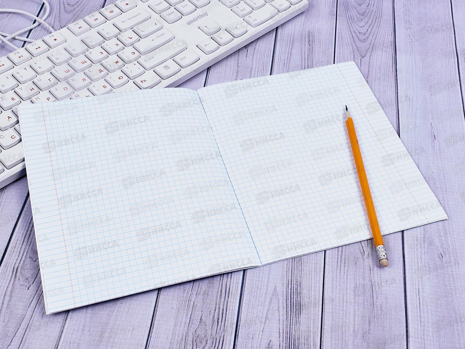 Тетрадь 12 листов клетка. ПЗБМ Цветная с уголком,019895 *20/240