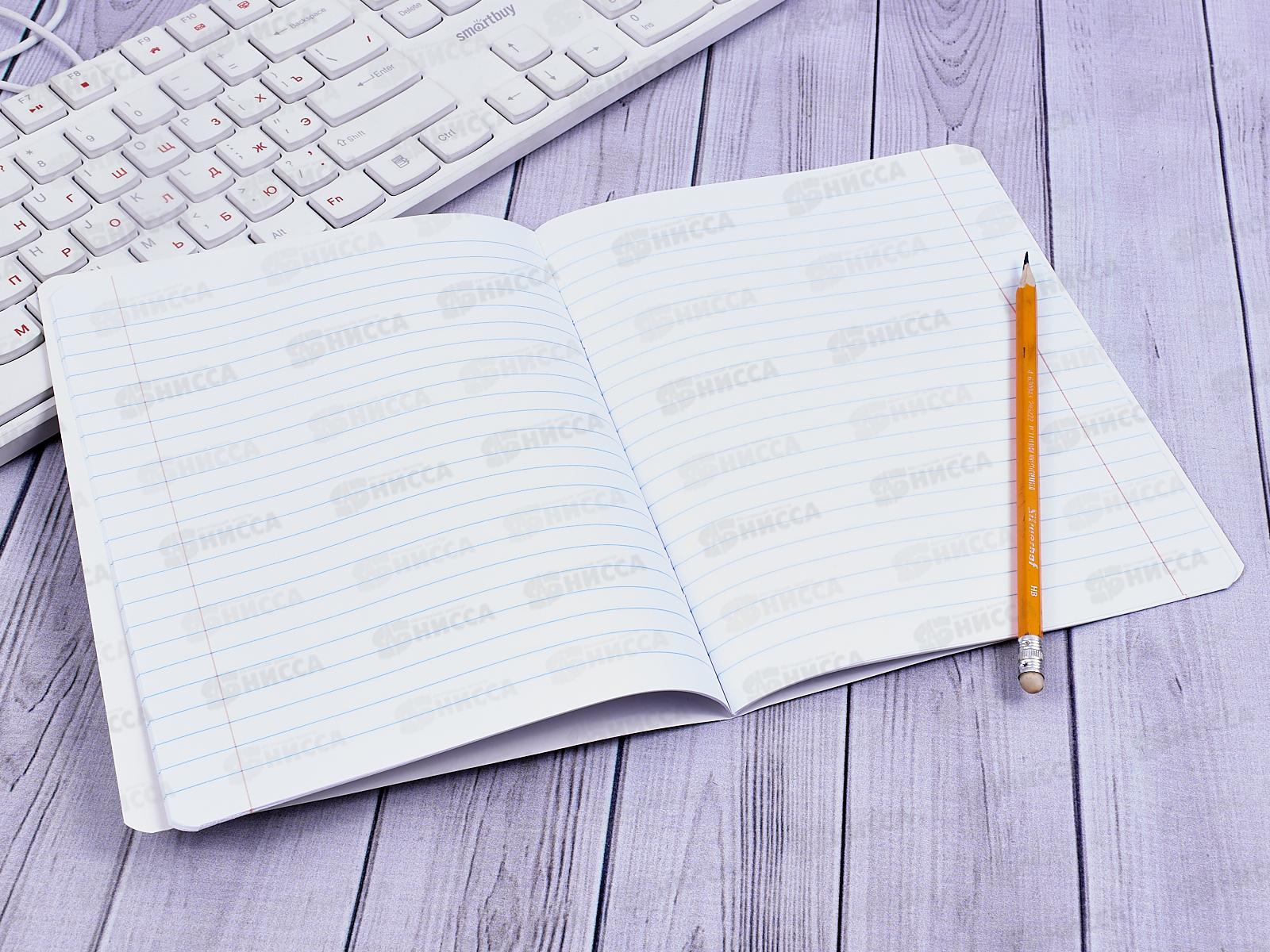 Тетрадь 18 листов линия ПЗБМ Девчонки 018269 *20/100