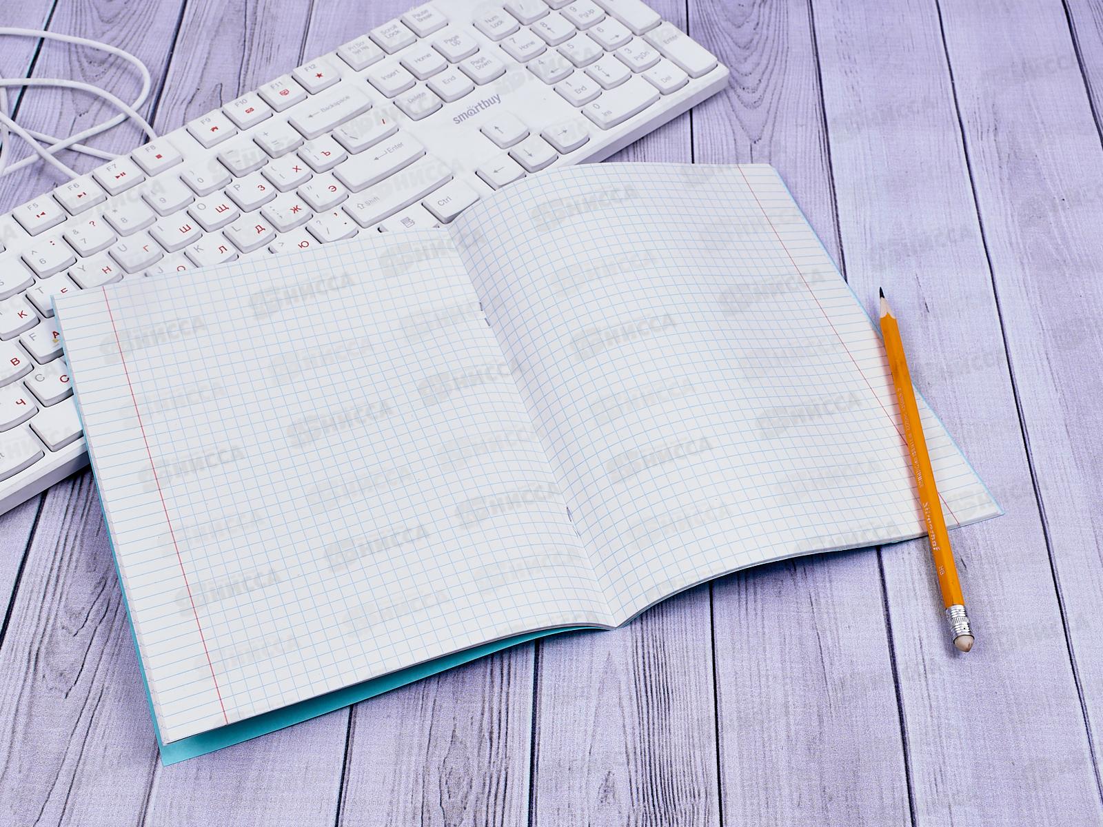 Тетрадь 24листа клетка  ПЗБМ 019834 офсетная 2 *150