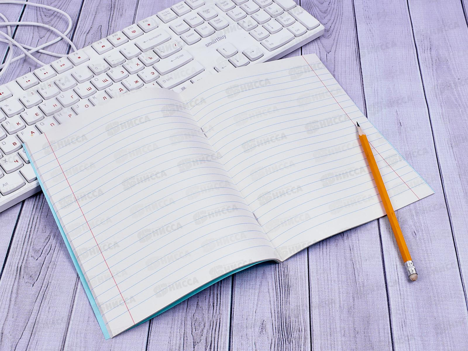 Тетрадь 24листа линия ПЗБМ 019827 офсетная 2*150