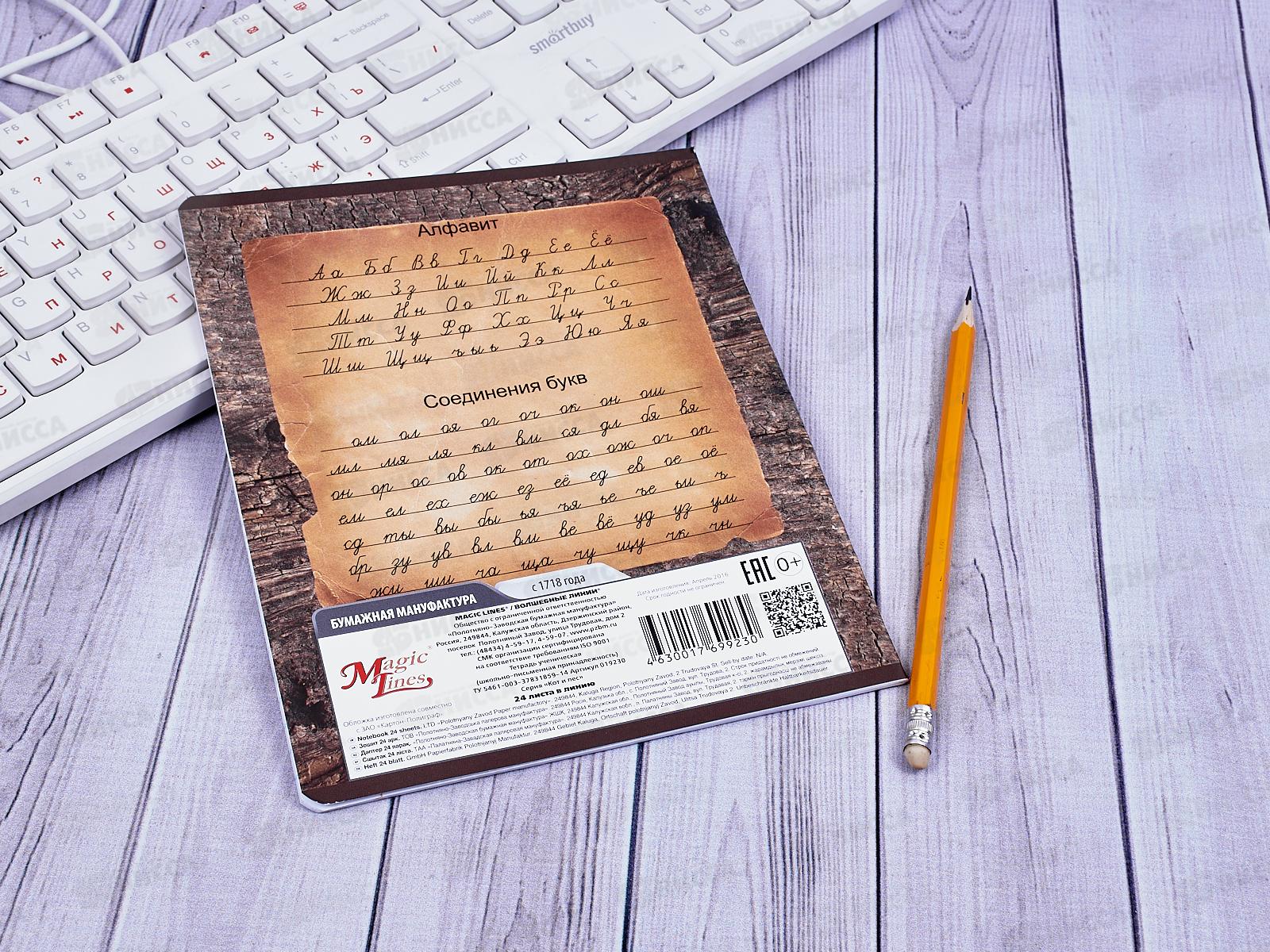 Тетрадь 24листа линия ПЗБМ Кот и пес 019230 *20/140