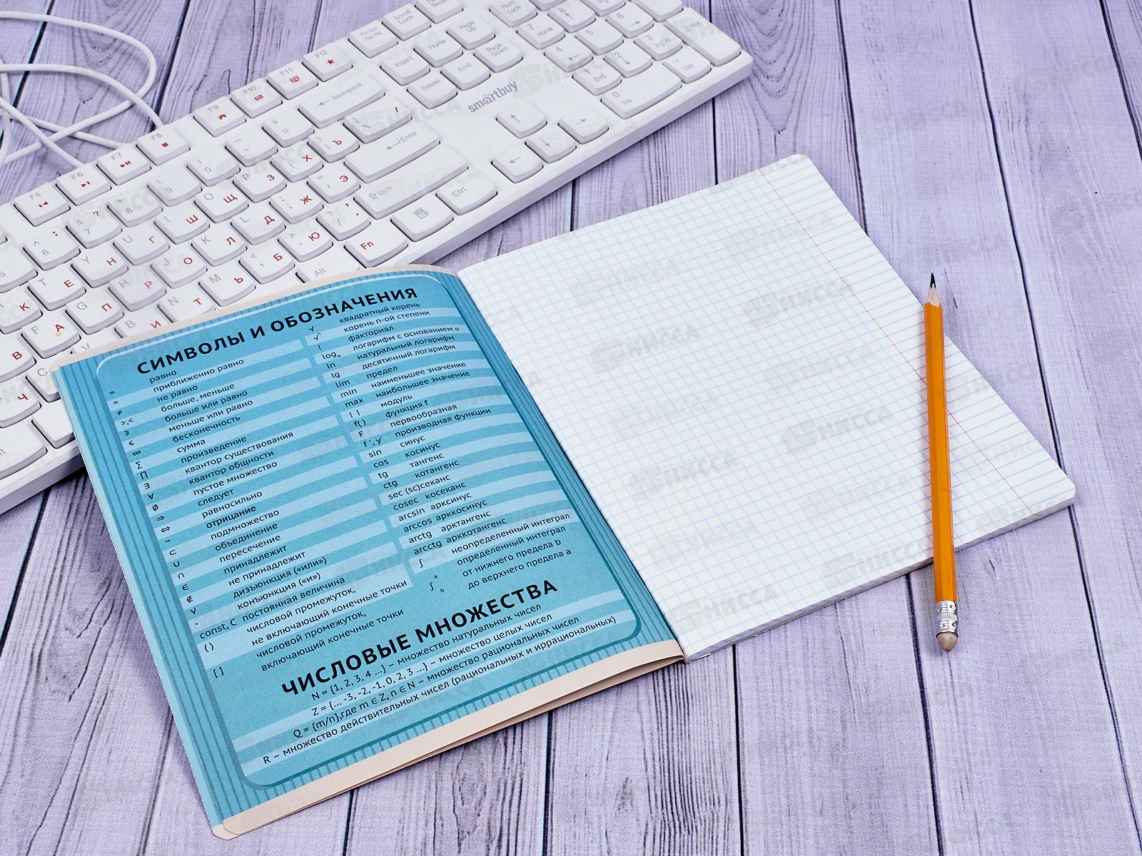 Тетрадь 48 листов клетка ПЗБМ Приключения кота Пифа-Алгебра 029791*5/50