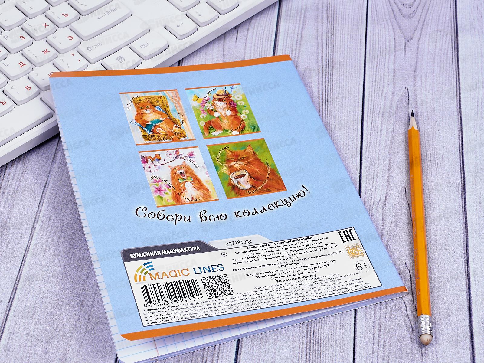 Тетрадь 48 листов клетка. ПЗБМ Что я,рыжий,что ли!029192*5/50