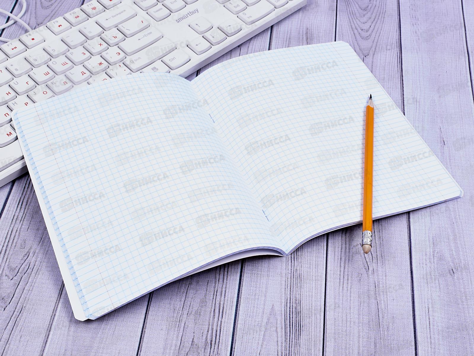 Тетрадь 48 листов клетка. ПЗБМ Что я,рыжий,что ли!029192*5/50