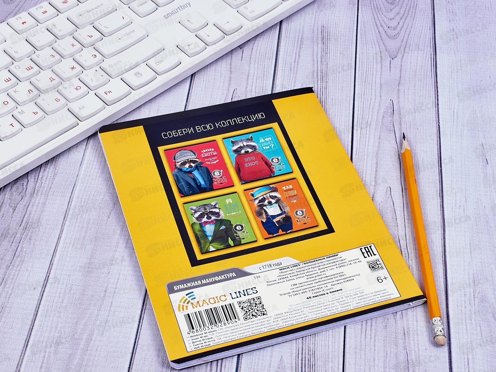 Тетрадь 48 листов линия  ПЗБМ Е-нот!,028904*5/50