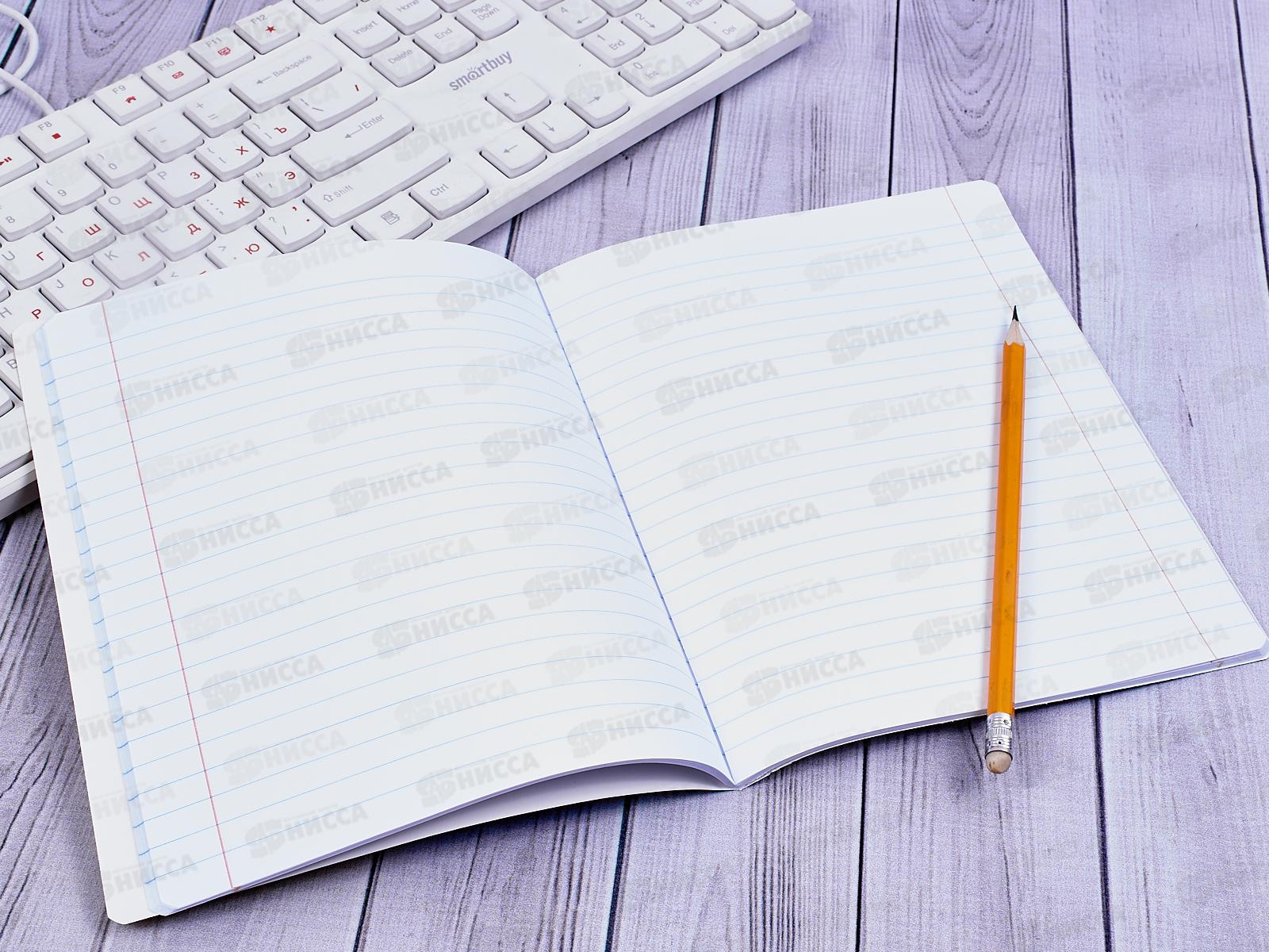 Тетрадь 48 листов линия  ПЗБМ Е-нот!,028904*5/50