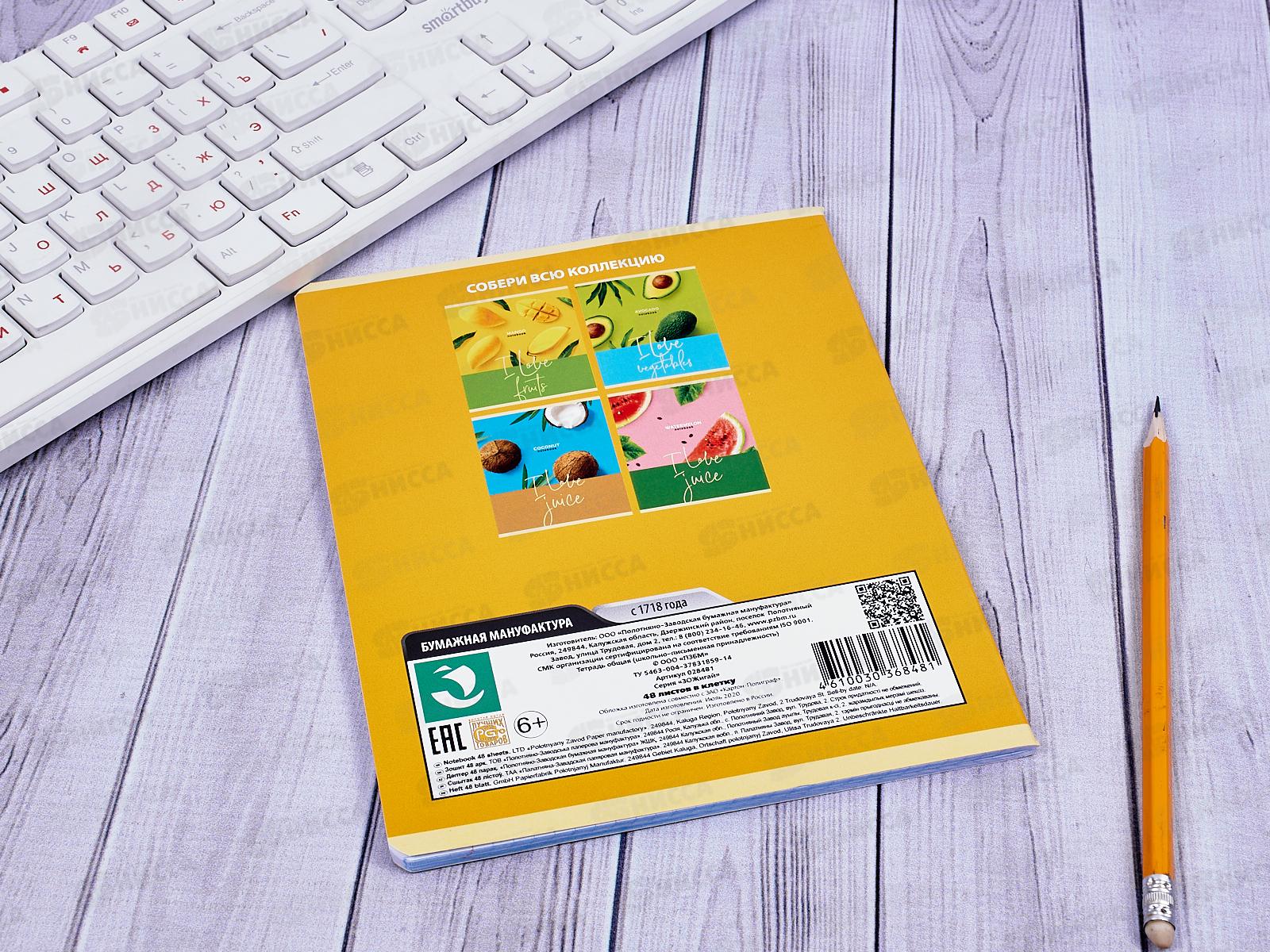 Тетрадь 48 листов клетка. ПЗБМ ЗОЖигай,028481*5/50