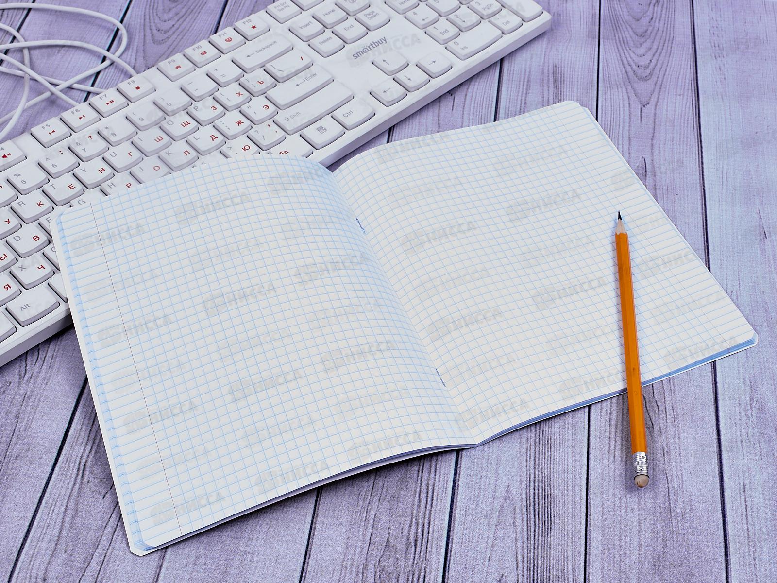 Тетрадь 48 листов клетка. ПЗБМ ЗОЖигай,028481*5/50