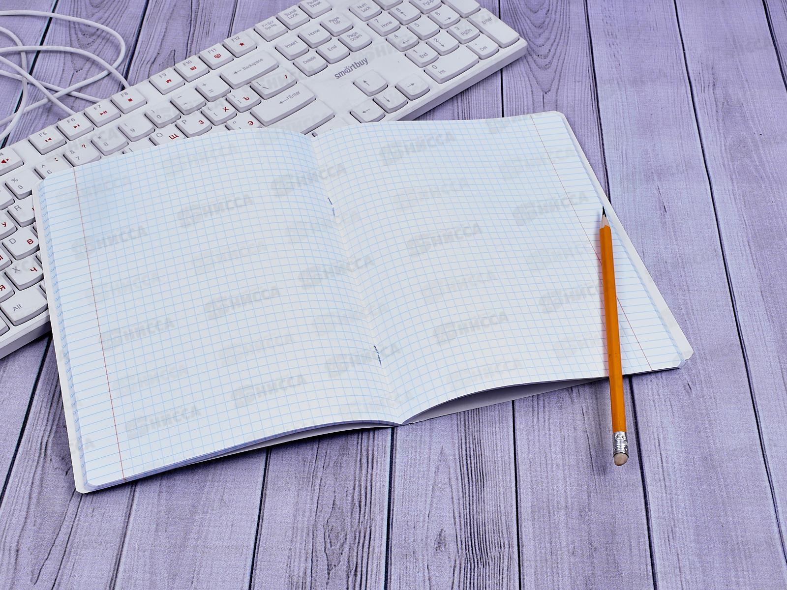 Тетрадь 48 листов клетка. ПЗБМ Иллюзия обмана,028107*5/50