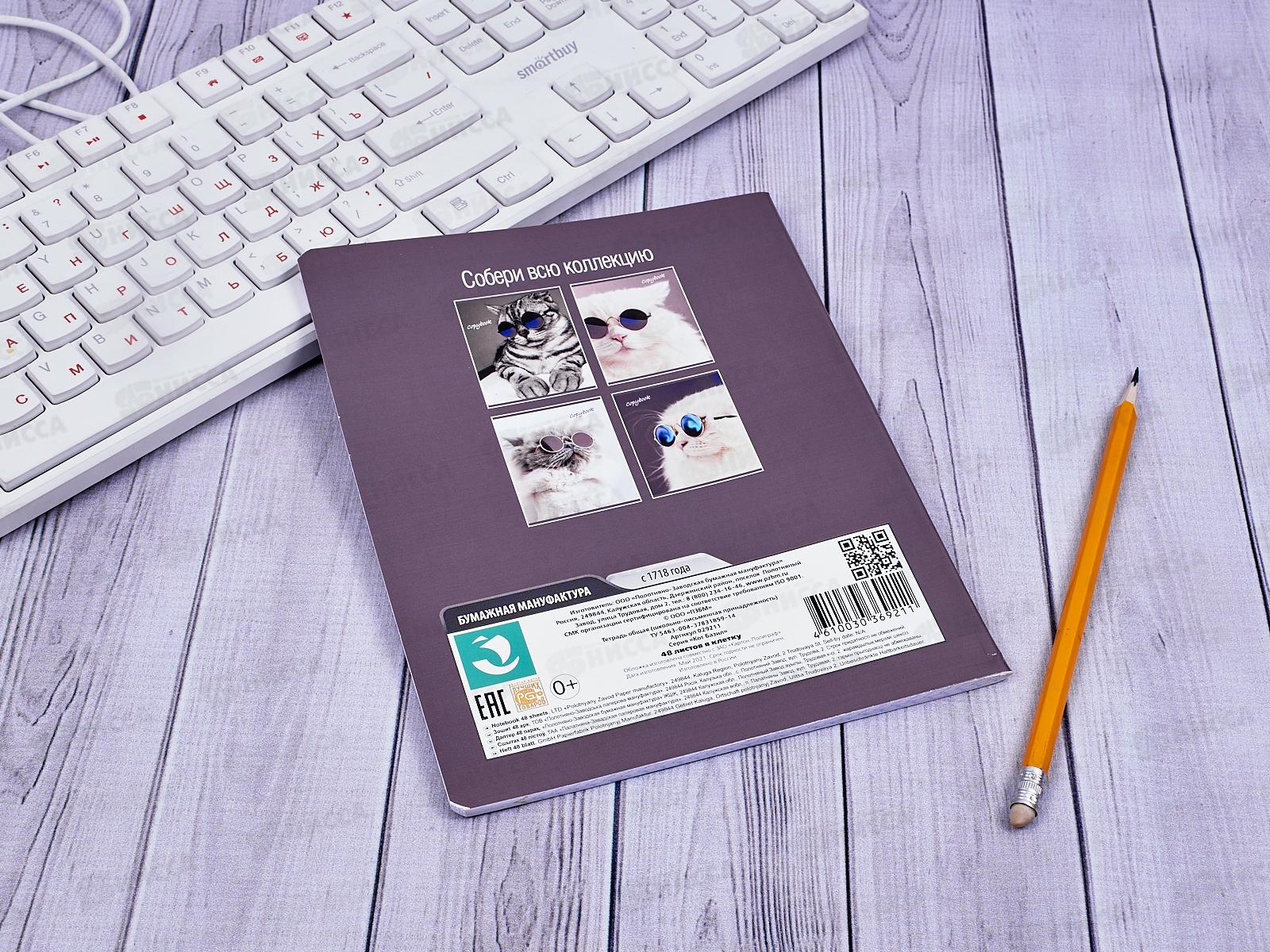 Тетрадь 48 листов клетка. ПЗБМ Кот Базилио 029211*5/50