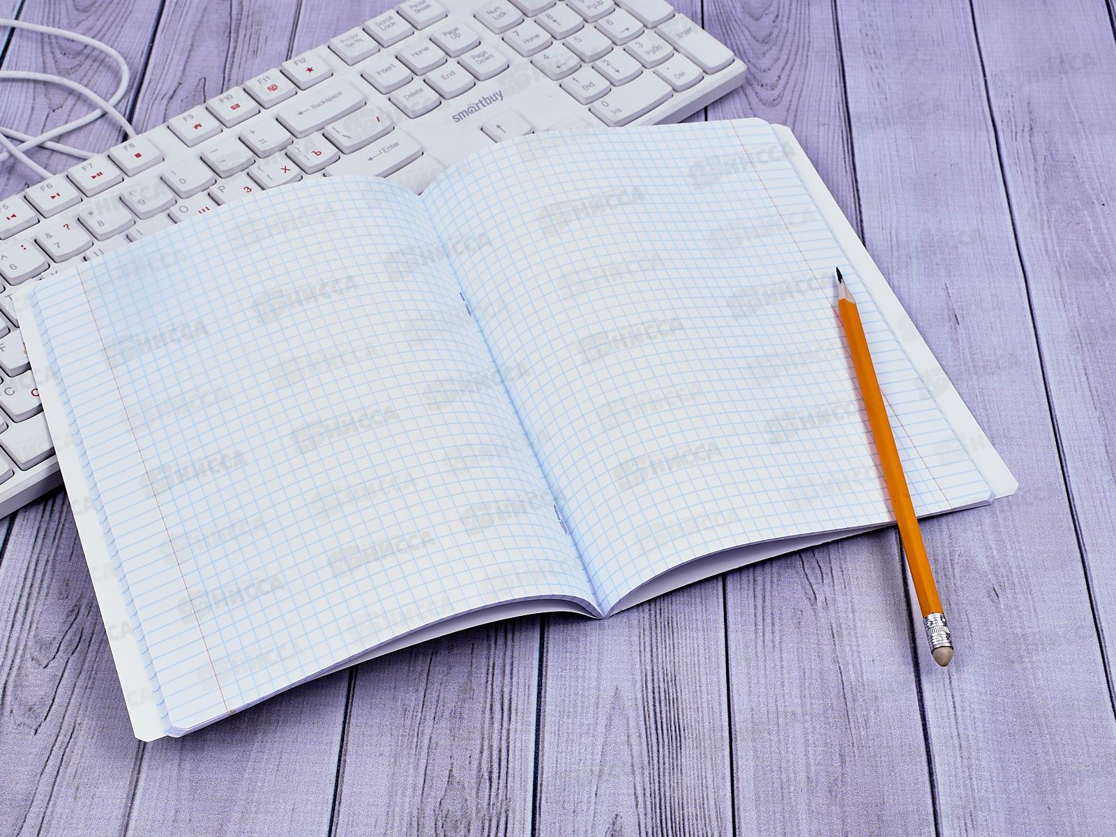 Тетрадь 48 листов клетка. ПЗБМ Кот Базилио 029211*5/50