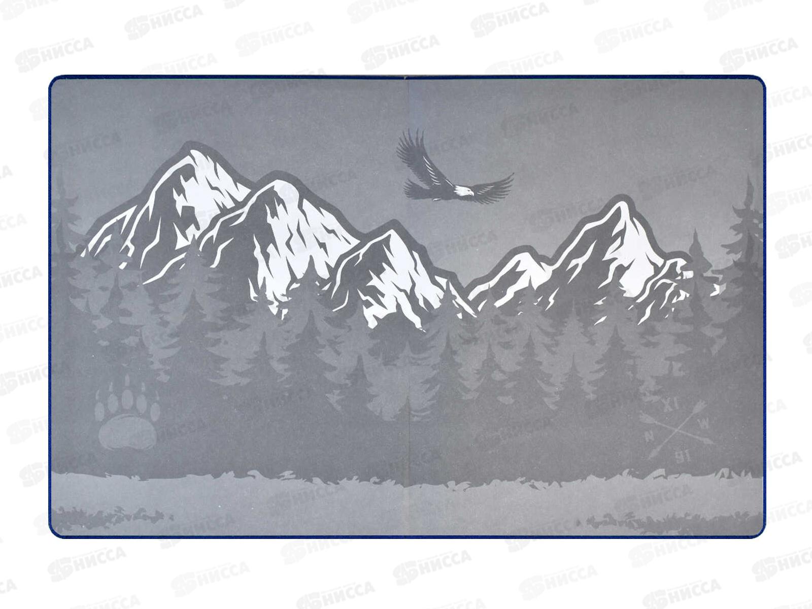 Дневник ФЕН Медведь,кожзам,58848*20