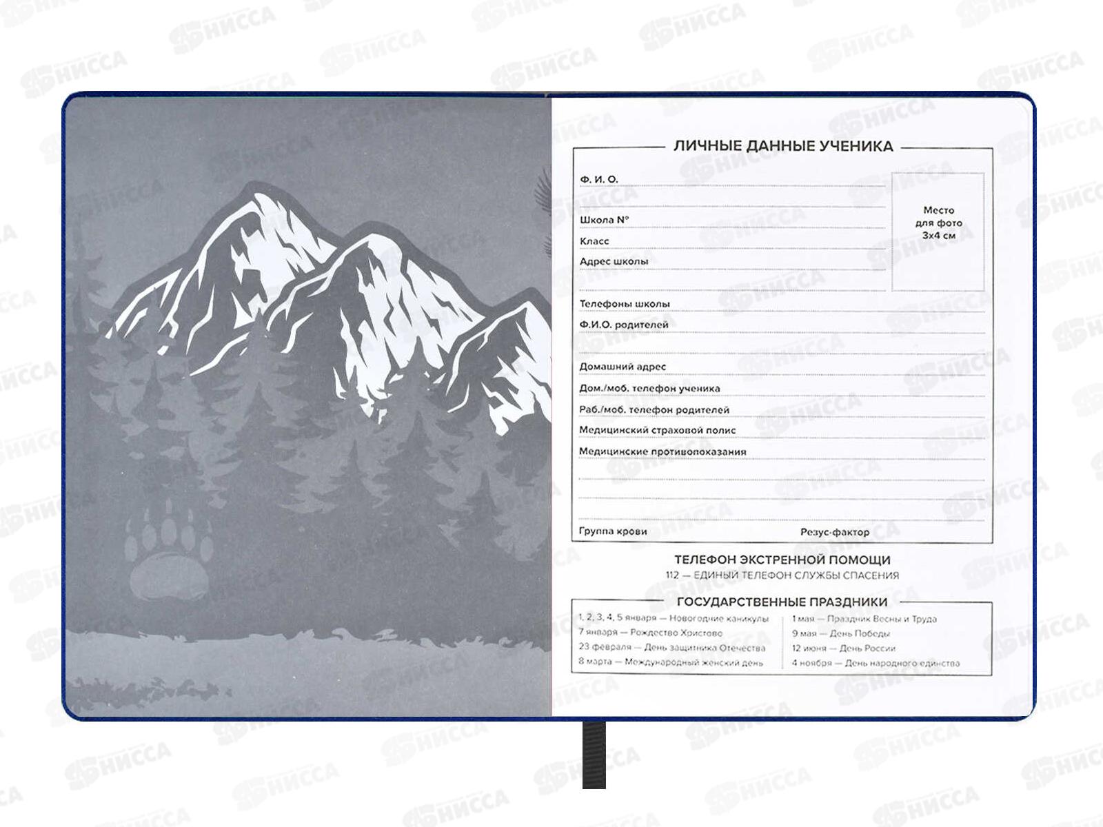 Дневник ФЕН Медведь,кожзам,58848*20