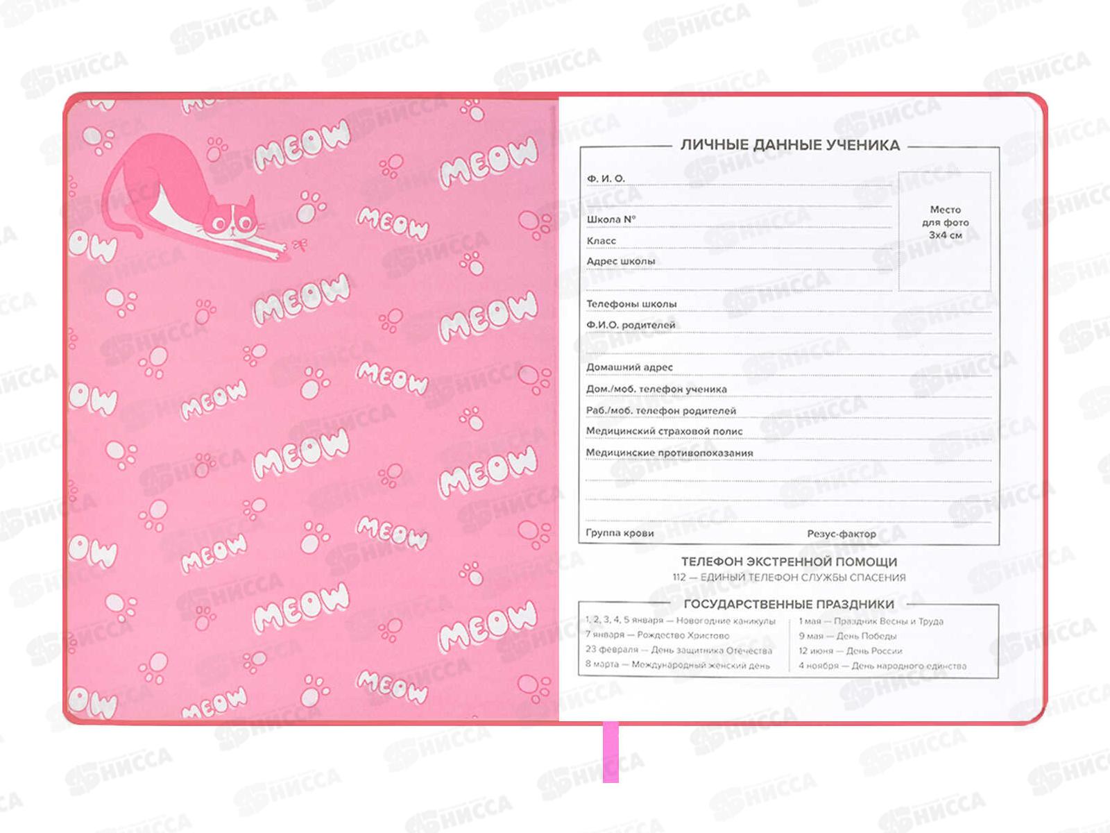 Дневник ФЕН Шкодные коты,кожзам.,мягкий переплет,58909*26