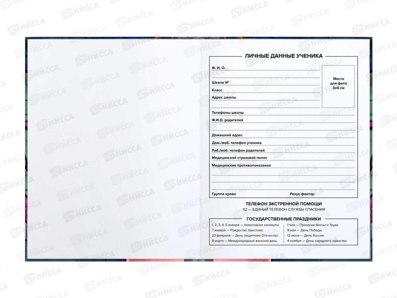 Дневник ФЕН Стрит арт,мягкая обложка 60126