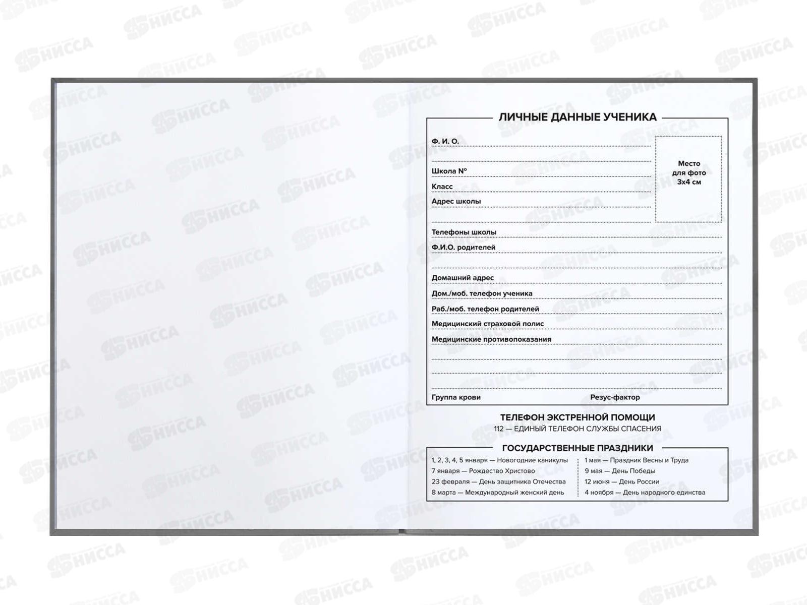 Дневник ФЕН На скейте ,мягкая обложка 60128